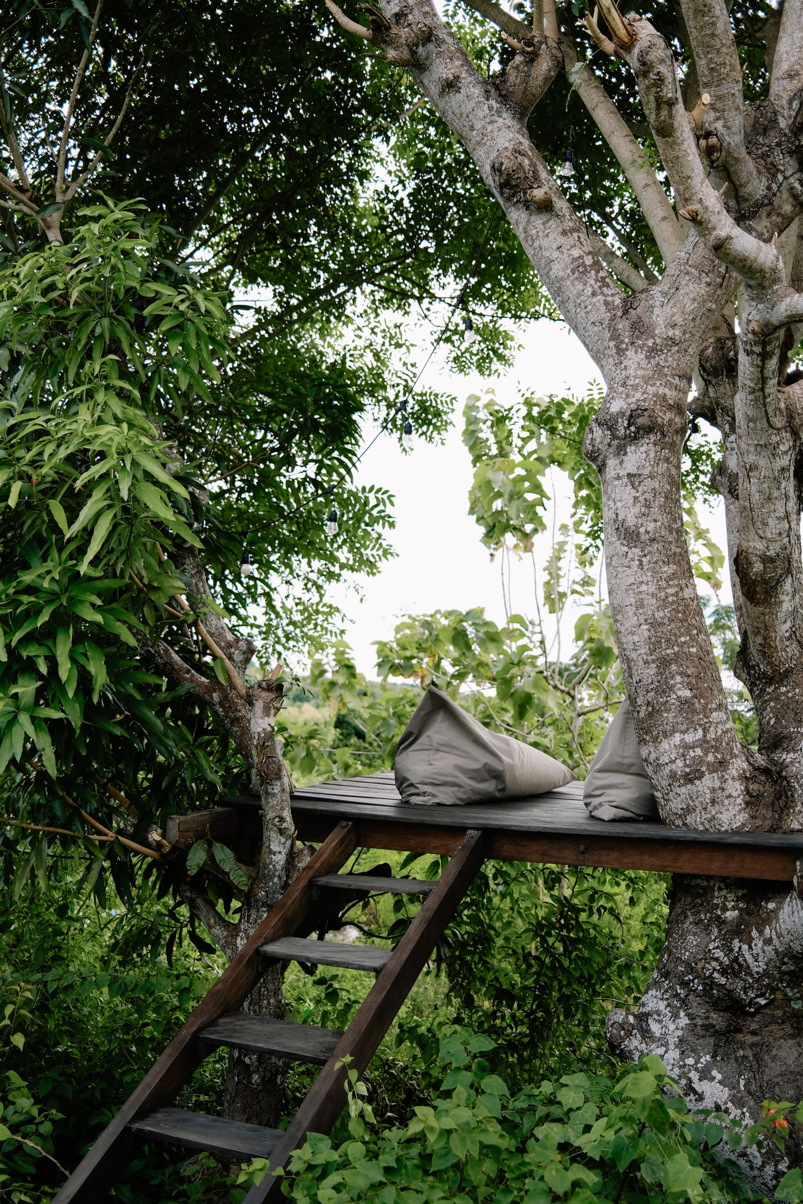 Clifftop villa with Ocean, volcanos & lagoon Views 7