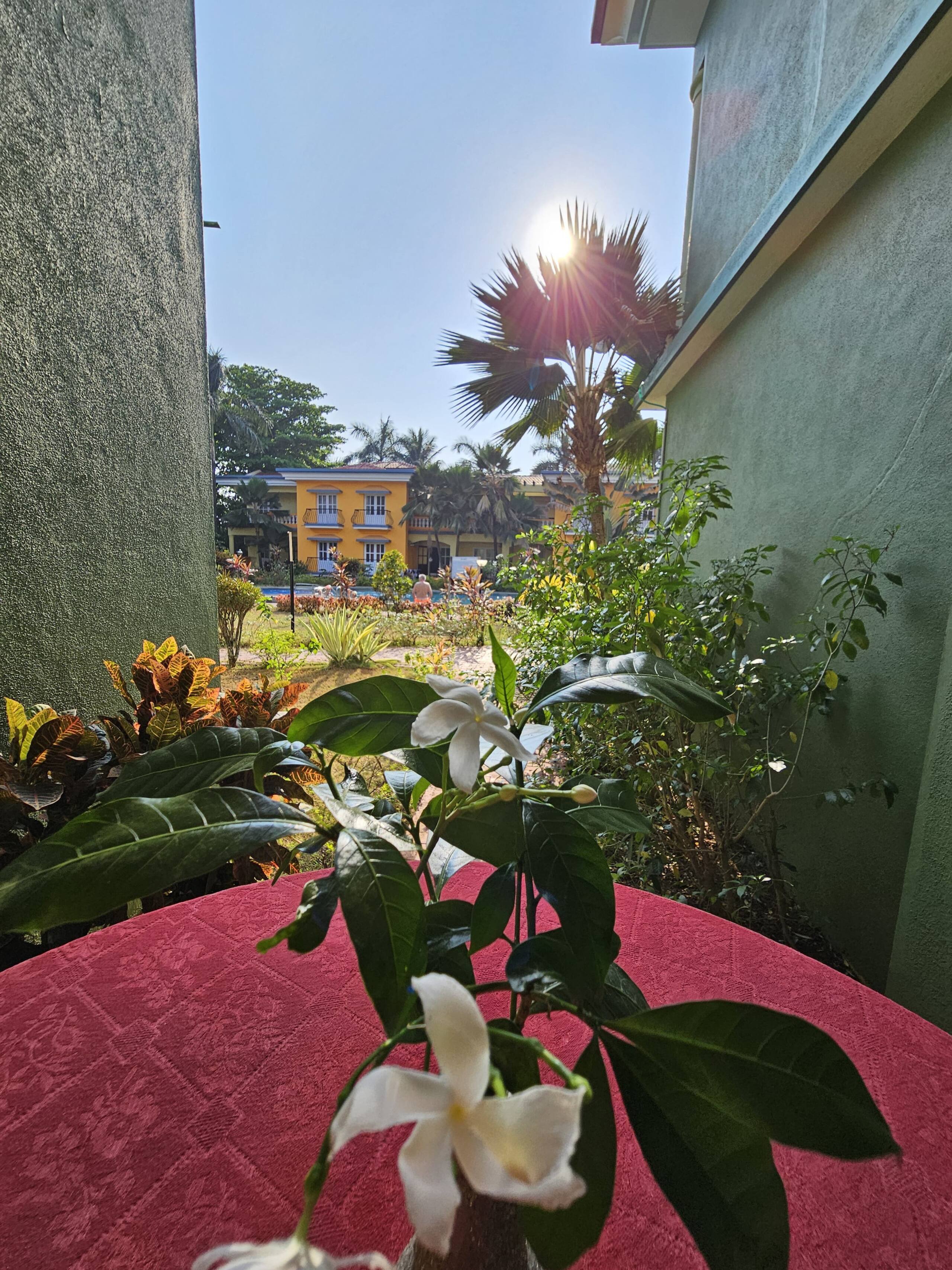 Coastal Getaway 1BHK - 2 min to Colva beach 7