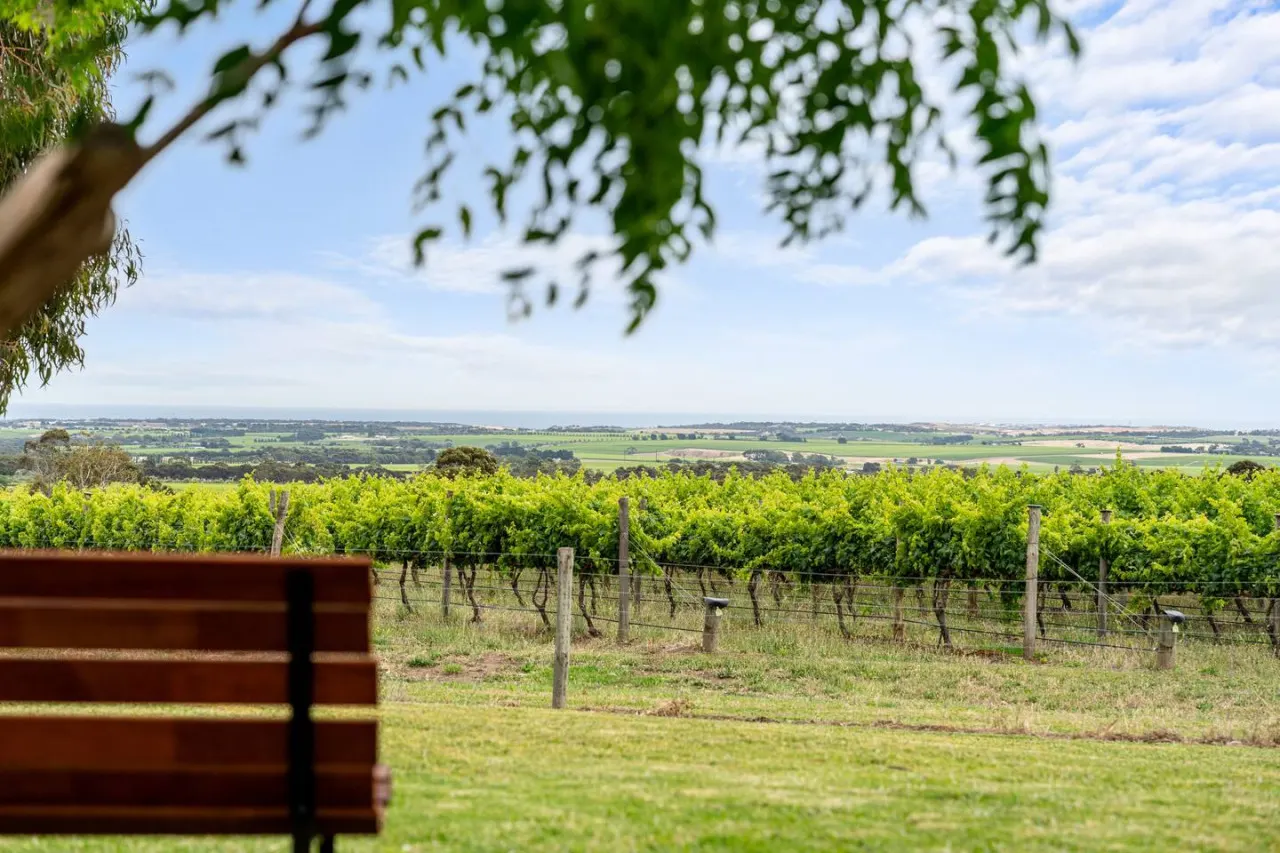 Willunga House - A Scenic Wine Region Stay