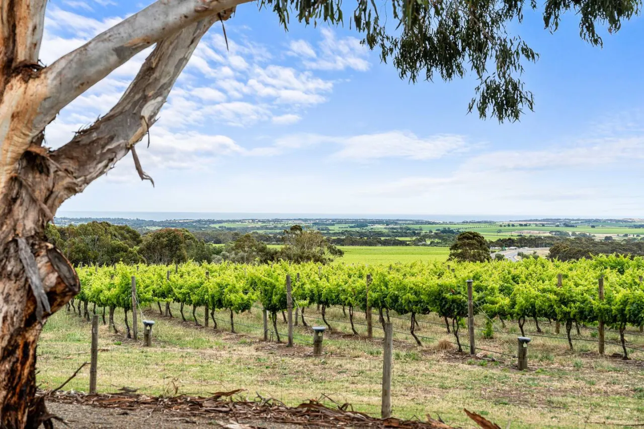 Willunga House - A Scenic Wine Region Stay 6