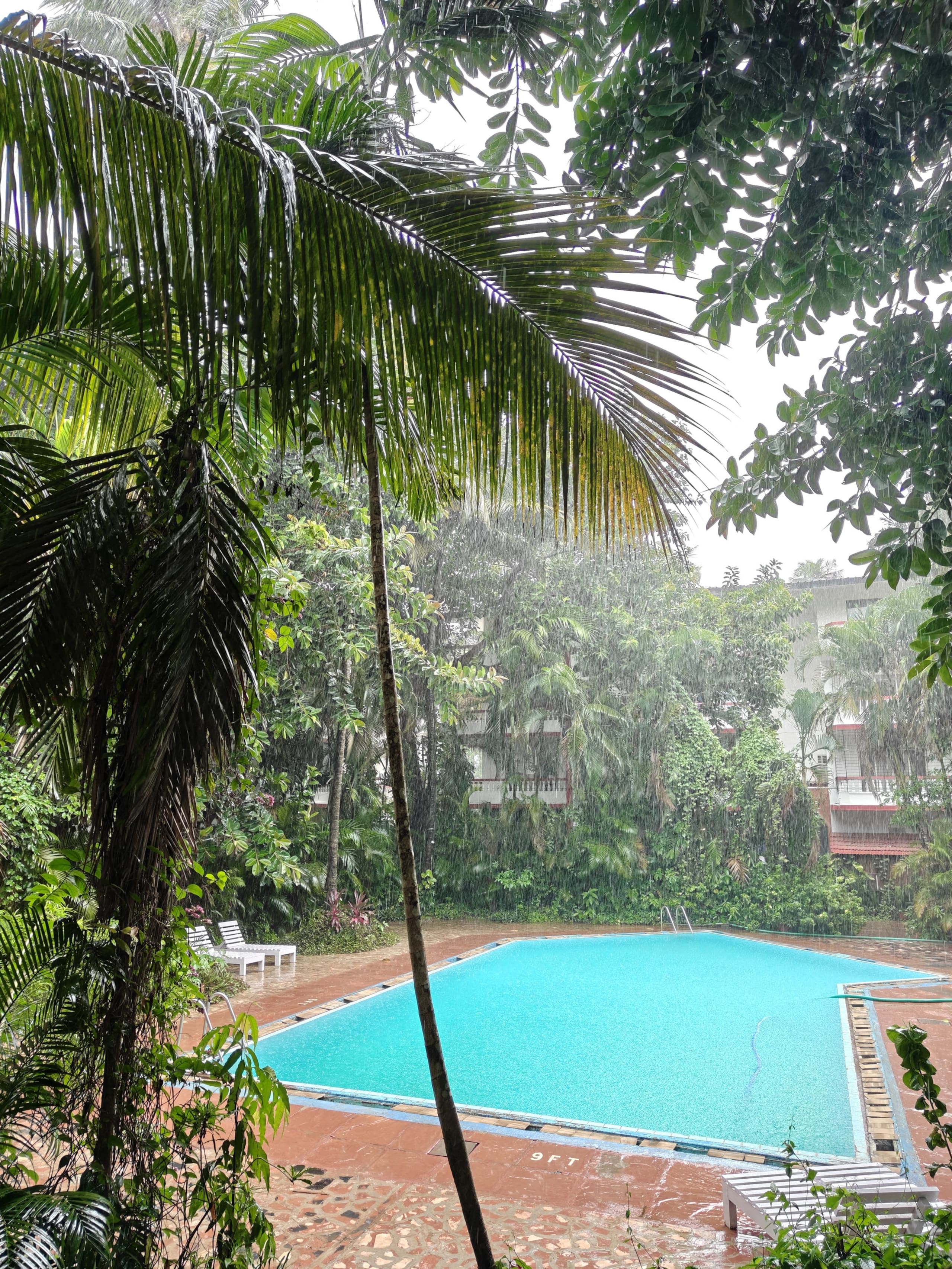 BlueBreeze by Rovana | Pool View • Near Baga Beach 39