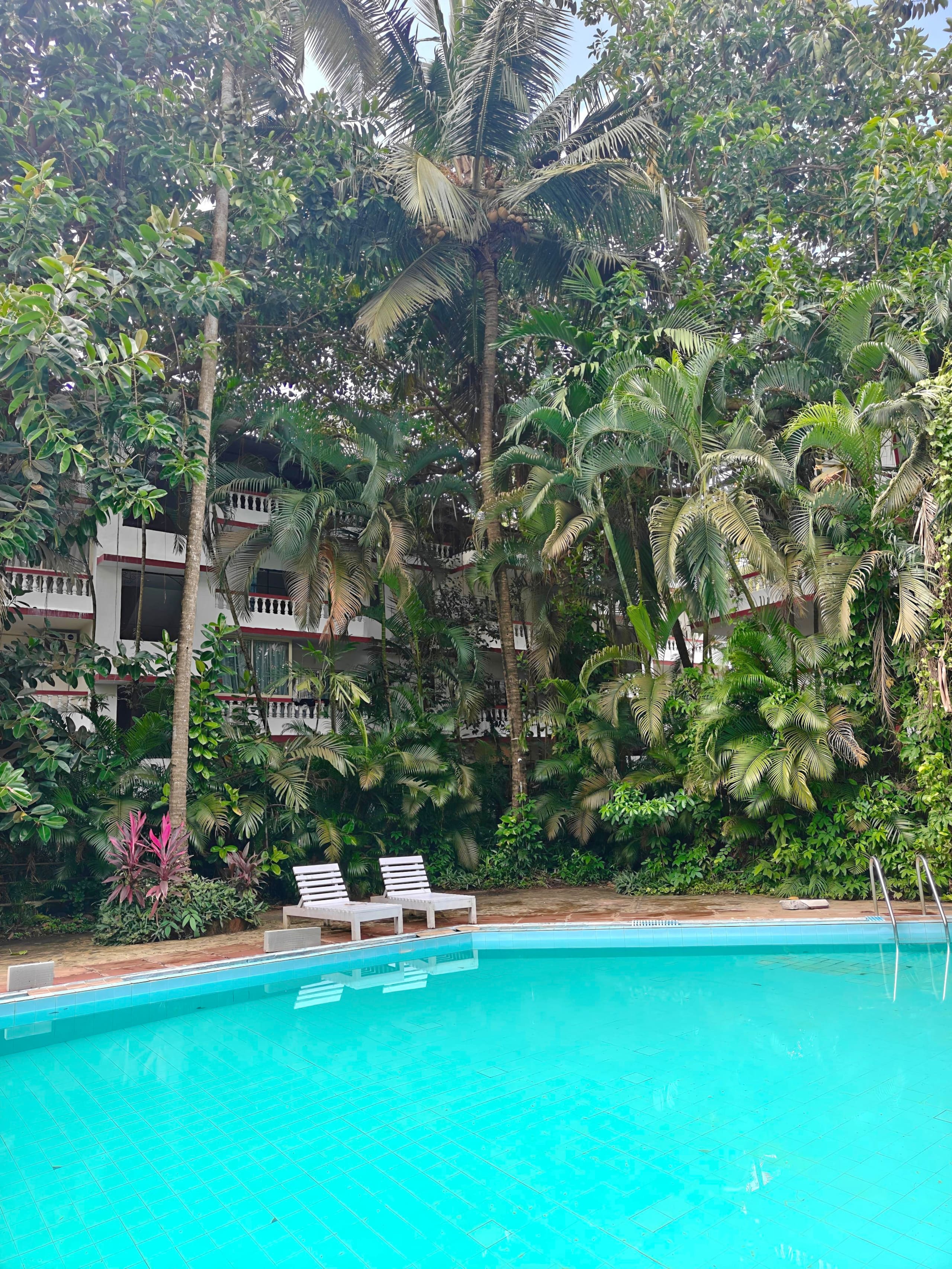 BlueBreeze by Rovana | Pool View • Near Baga Beach 6