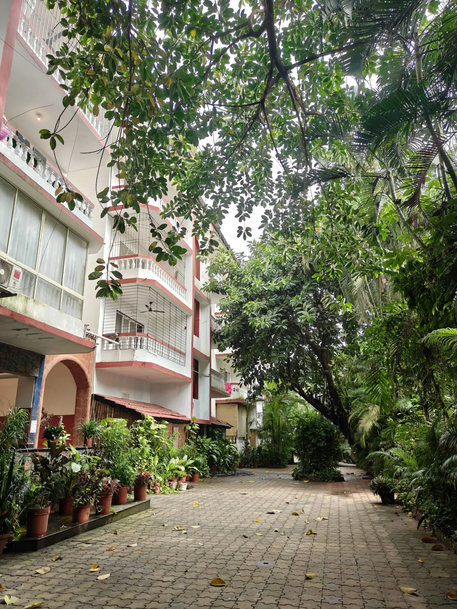 BlueBreeze by Rovana Pool View Near Baga Beach 32