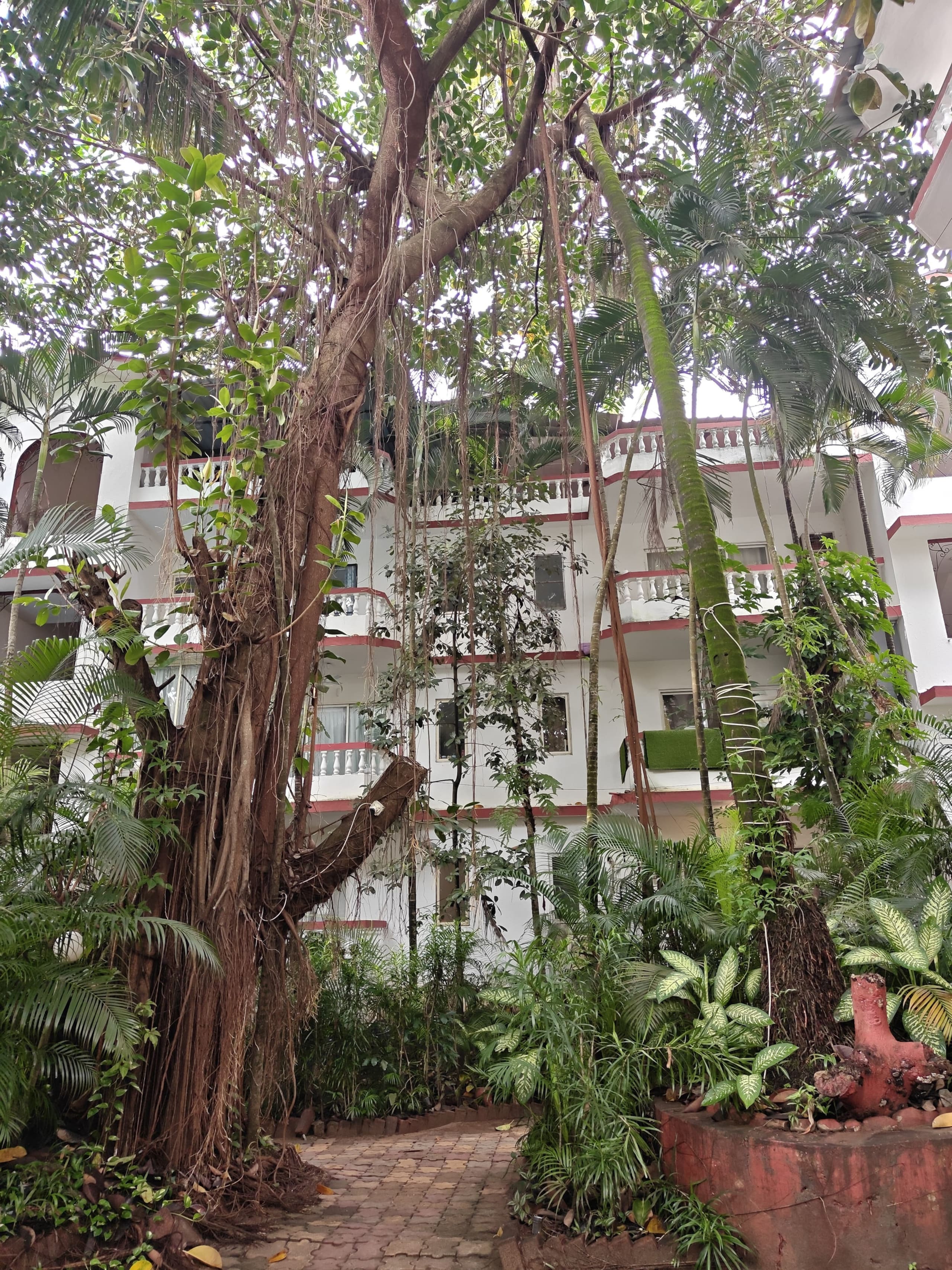 BlueBreeze by Rovana | Pool View • Near Baga Beach 33