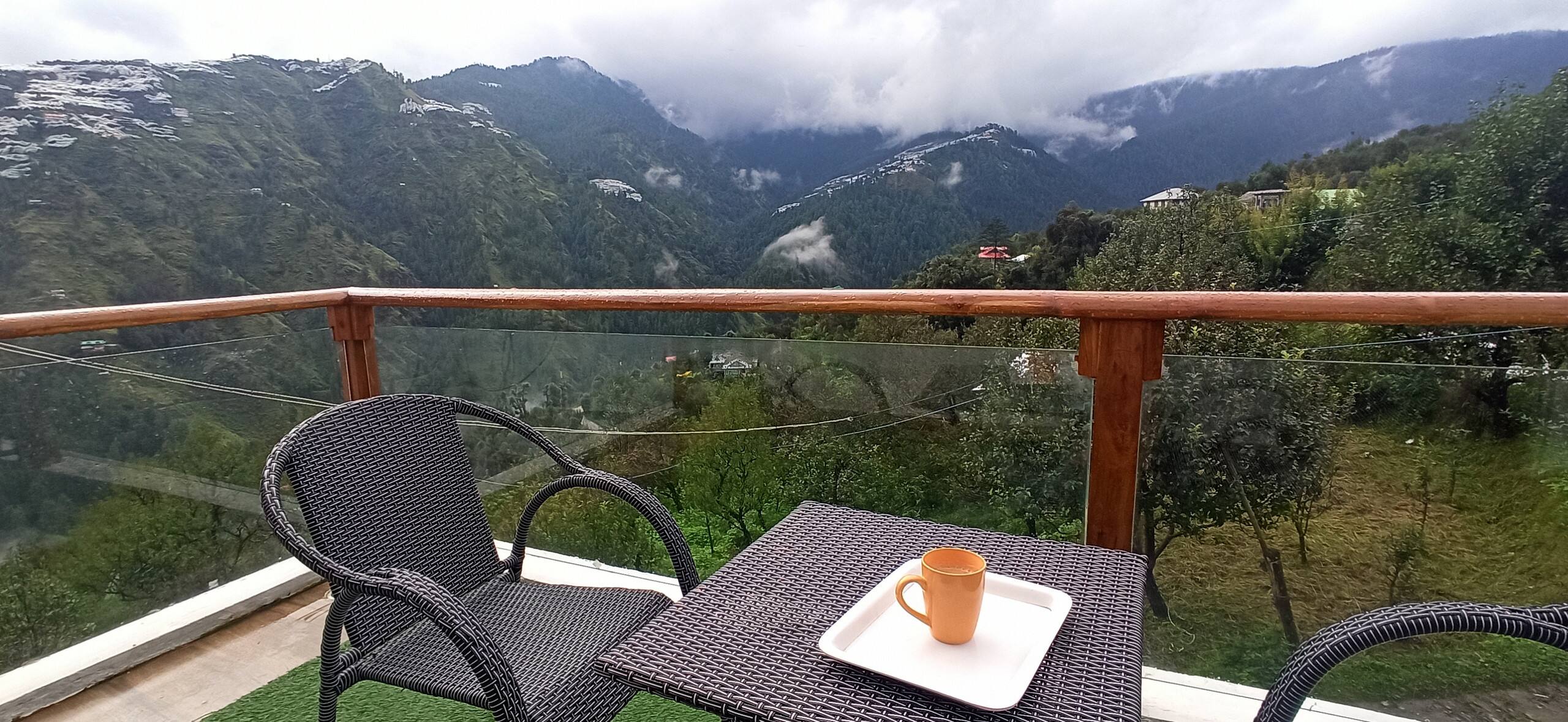 Blissful experience in chadha apple farms — photo 5