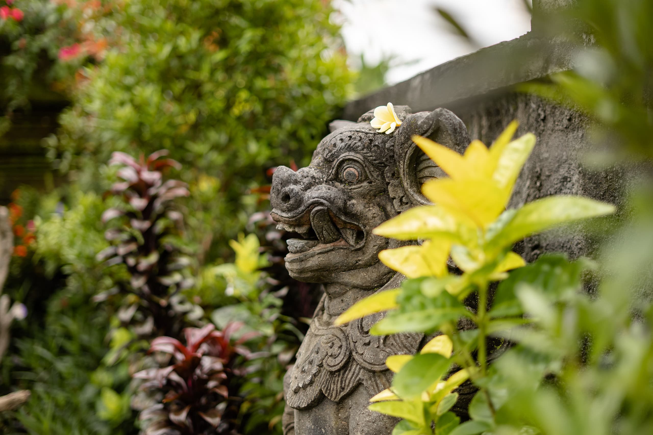 Deluxe Room in Hidden Oasis of Ubud 10