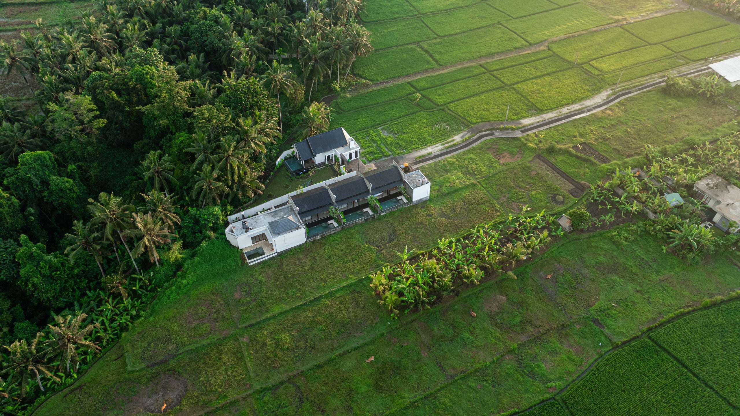 Pool Villa - Rice Field View — photo 4