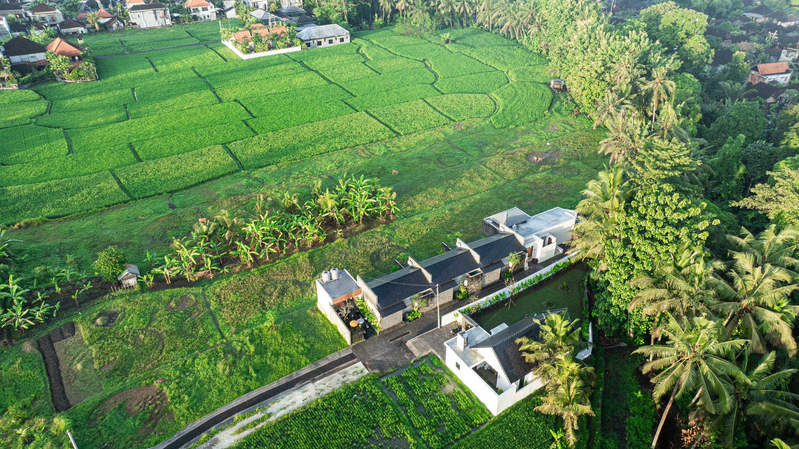 Pool Villa - Rice Field View 32