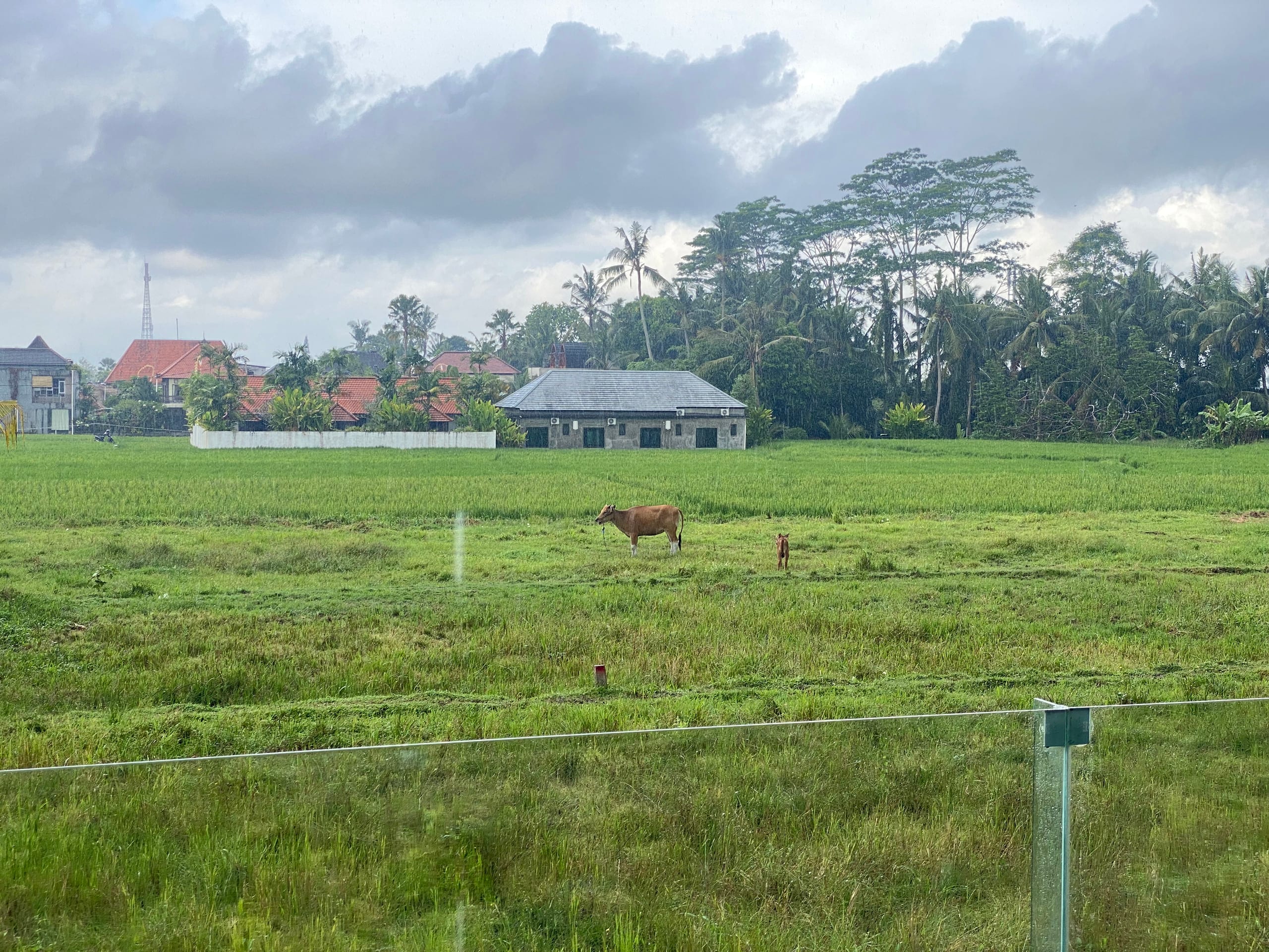 Pool Villa - Rice Field View 37