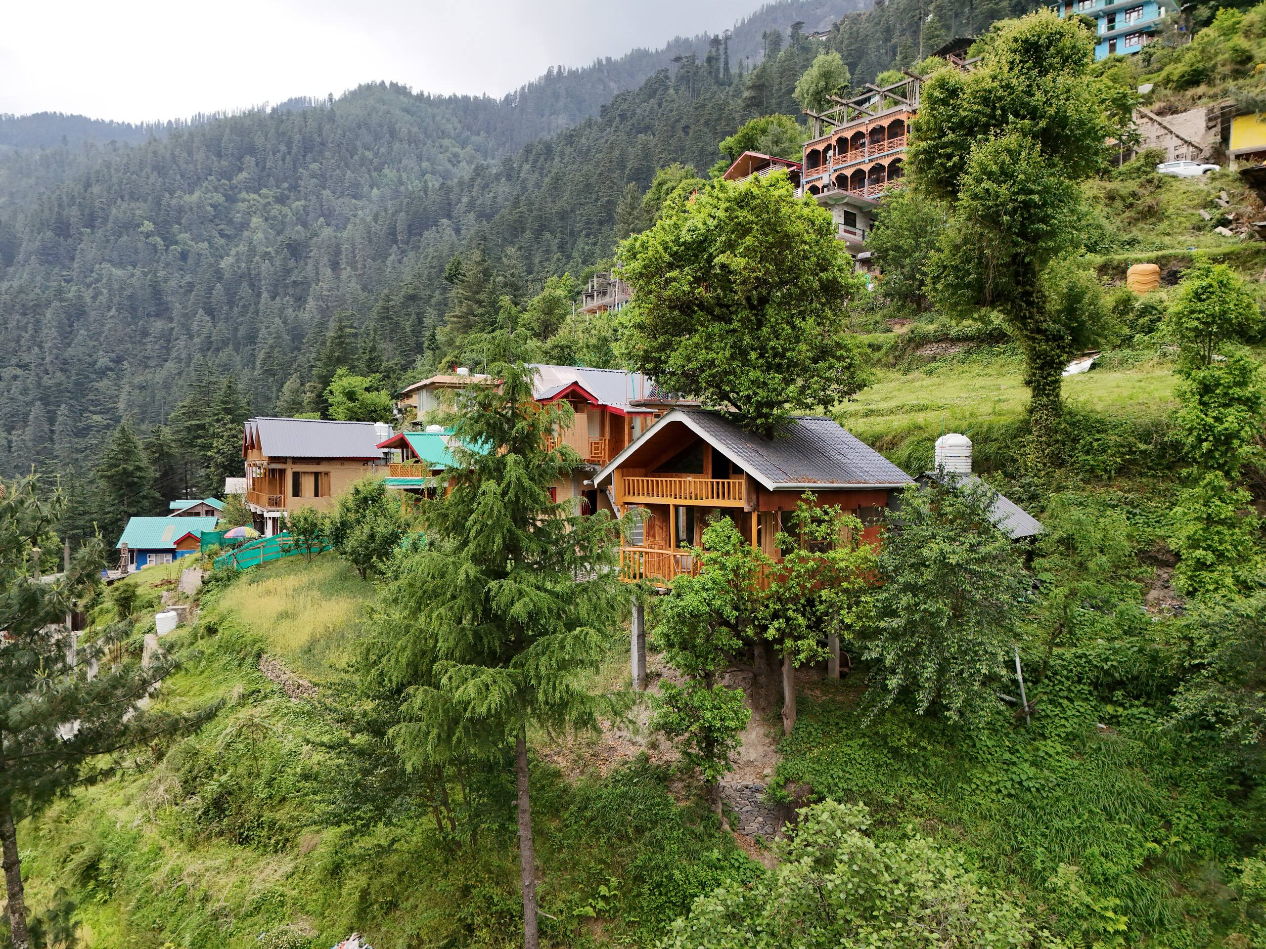 Cozy Treehouse in Jibhi By HimalayanTradition 4