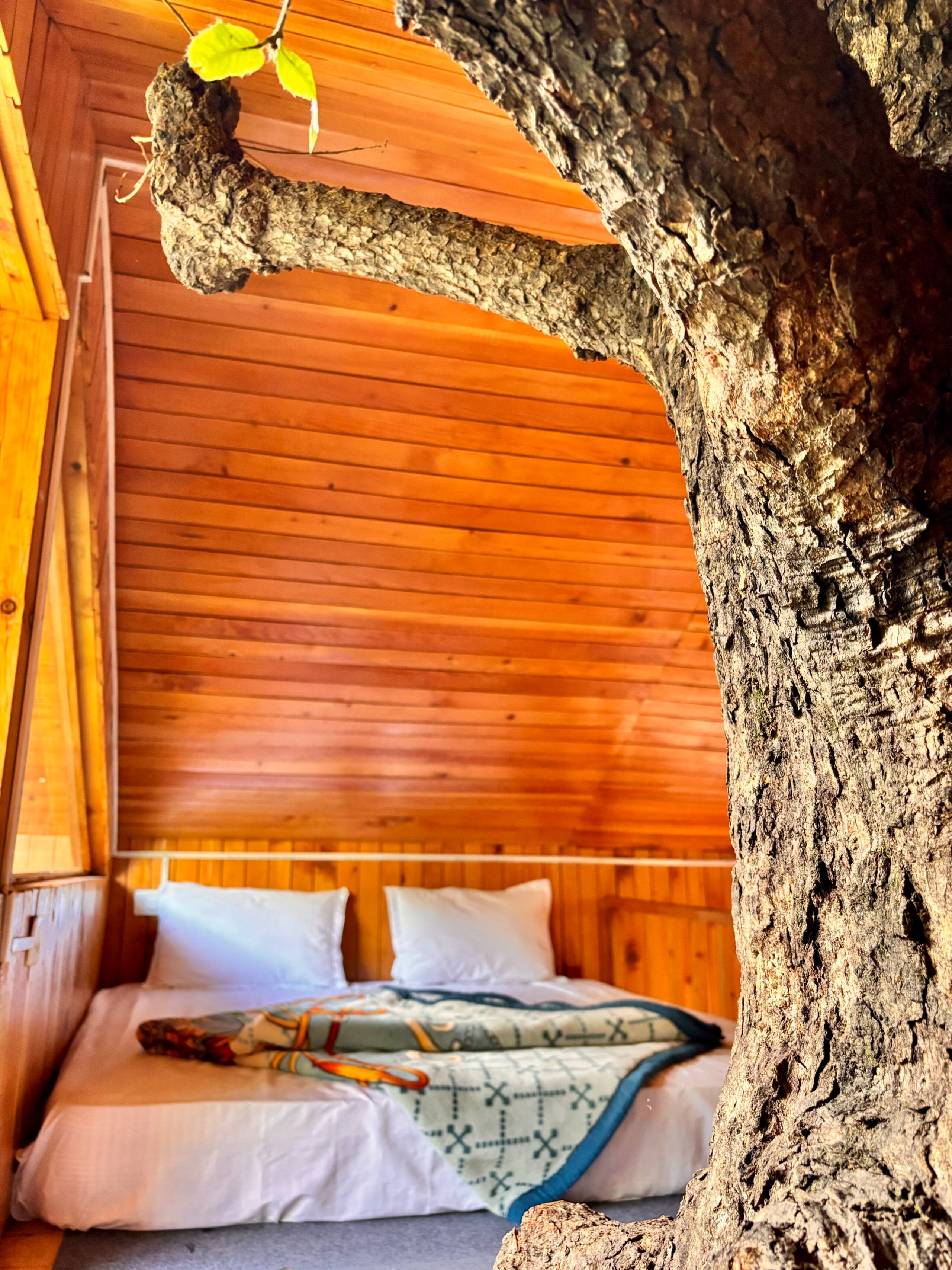 Cozy Treehouse in Jibhi By HimalayanTradition 25