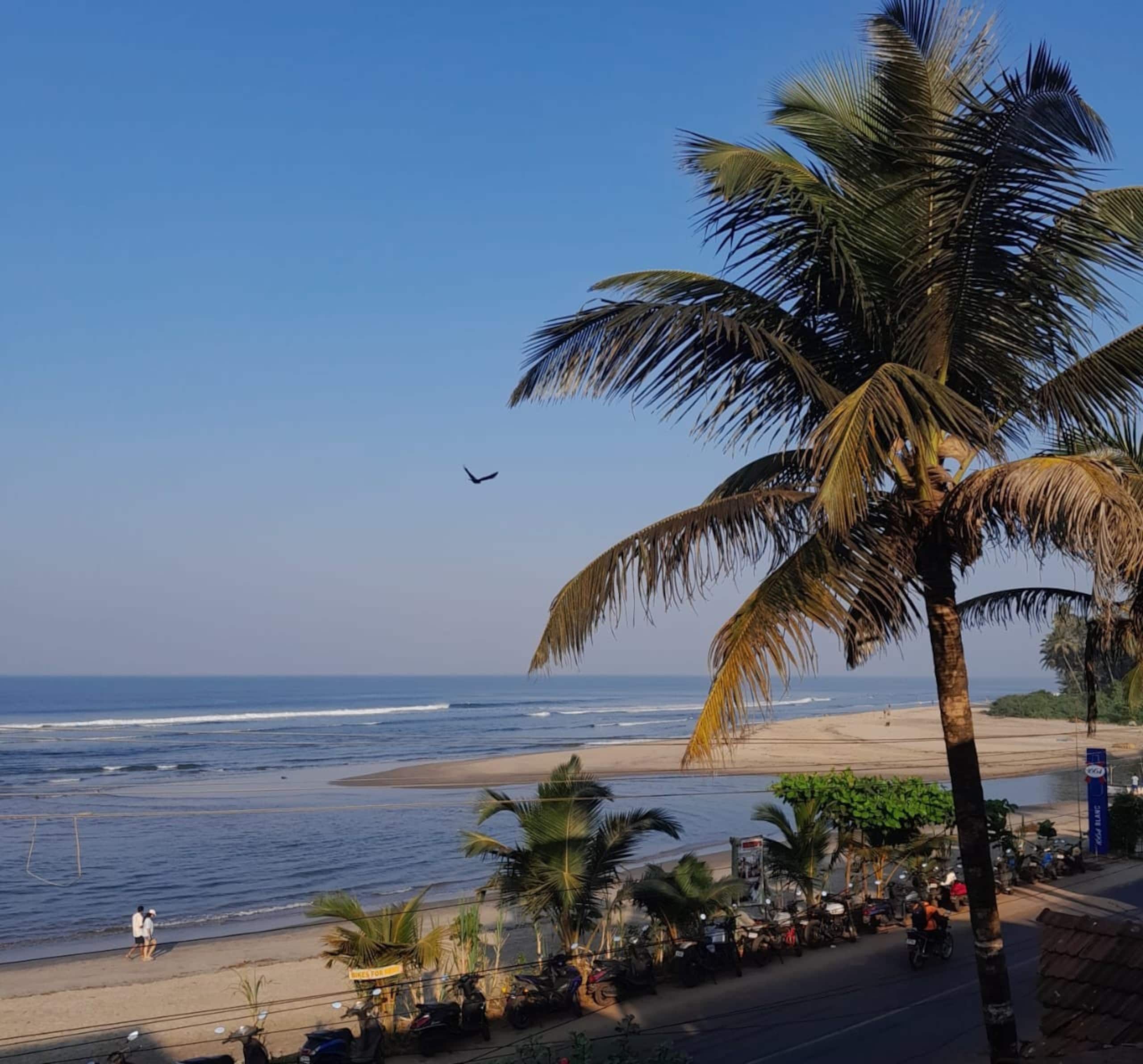Ashvem beach,  Goa.
