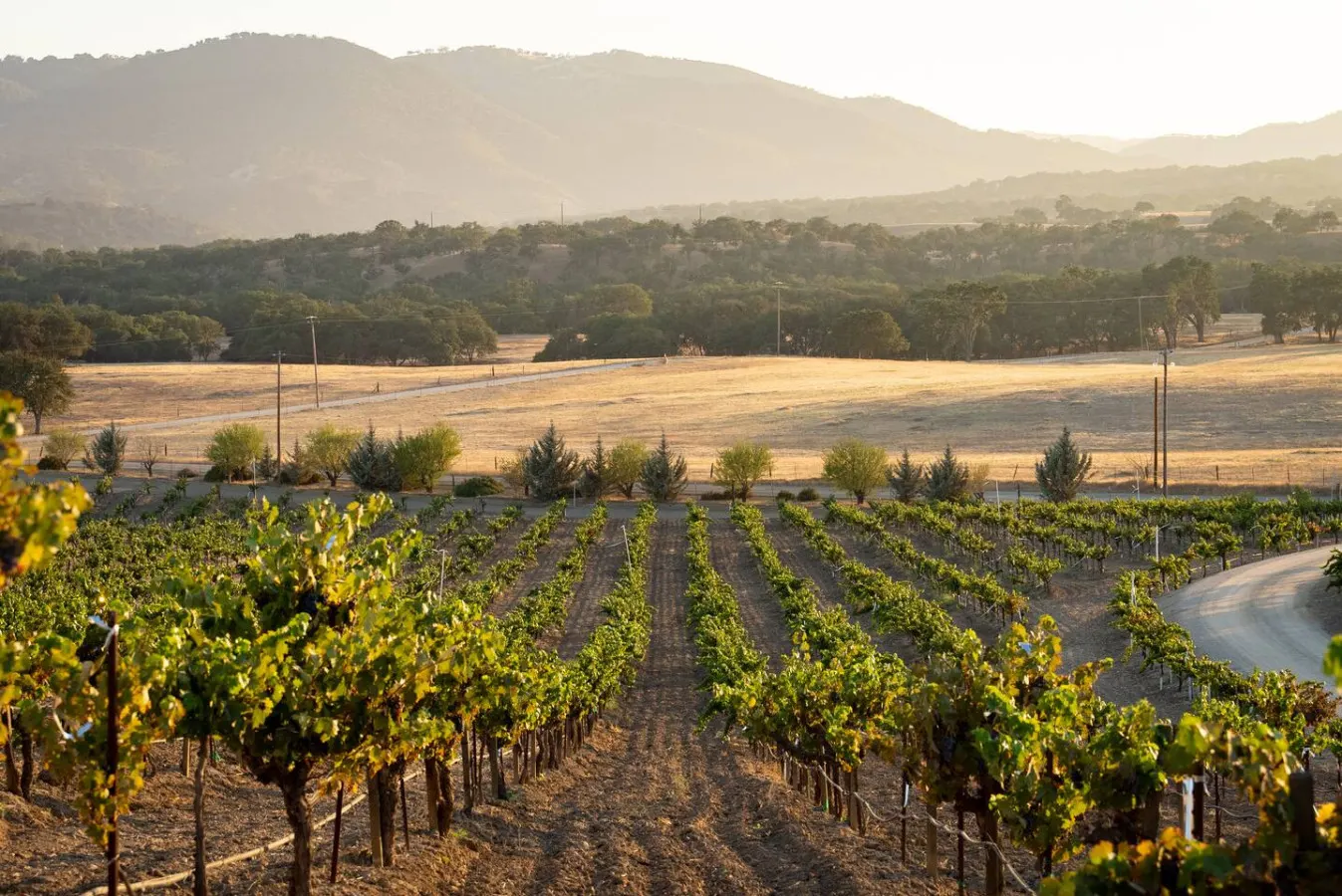 Sunset Vineyard Suite with EV Charger