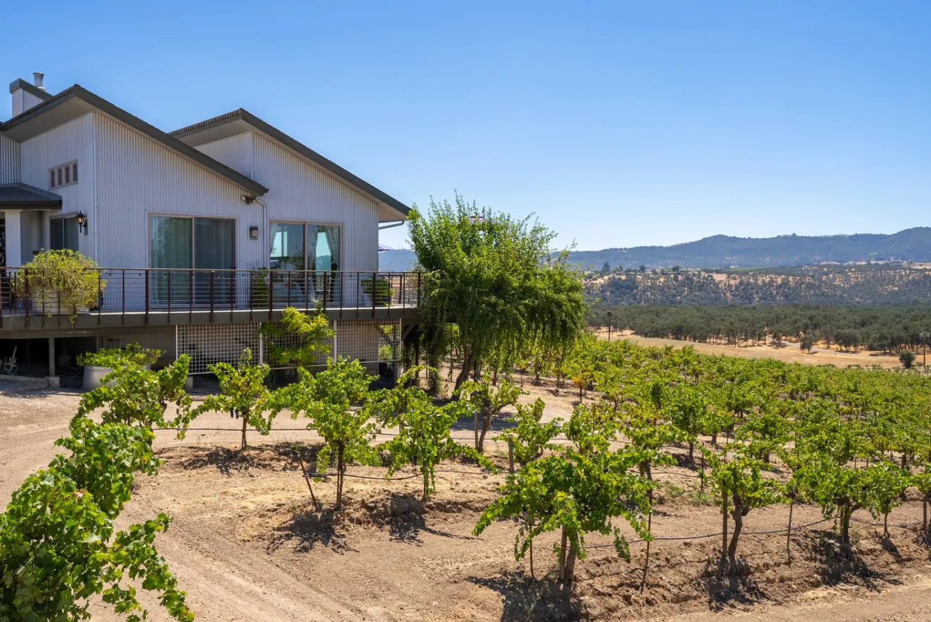 Sunset Vineyard Suite with EV Charger 17