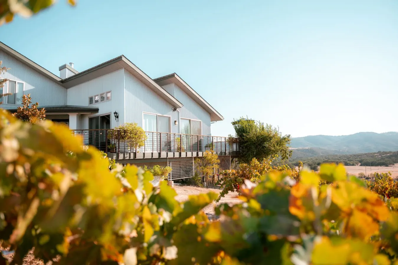 Sunset Vineyard Suite with EV Charger — photo 5