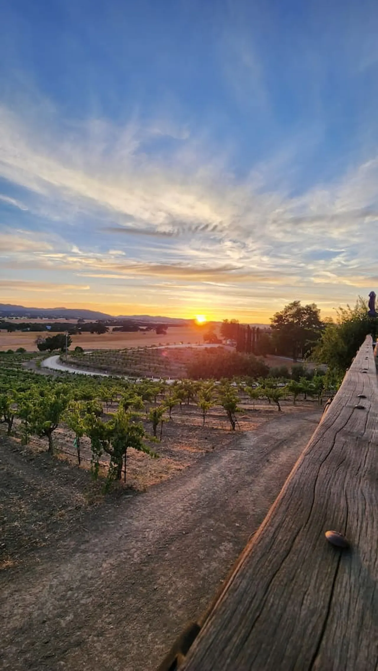 Sunset Vineyard Suite with EV Charger 8