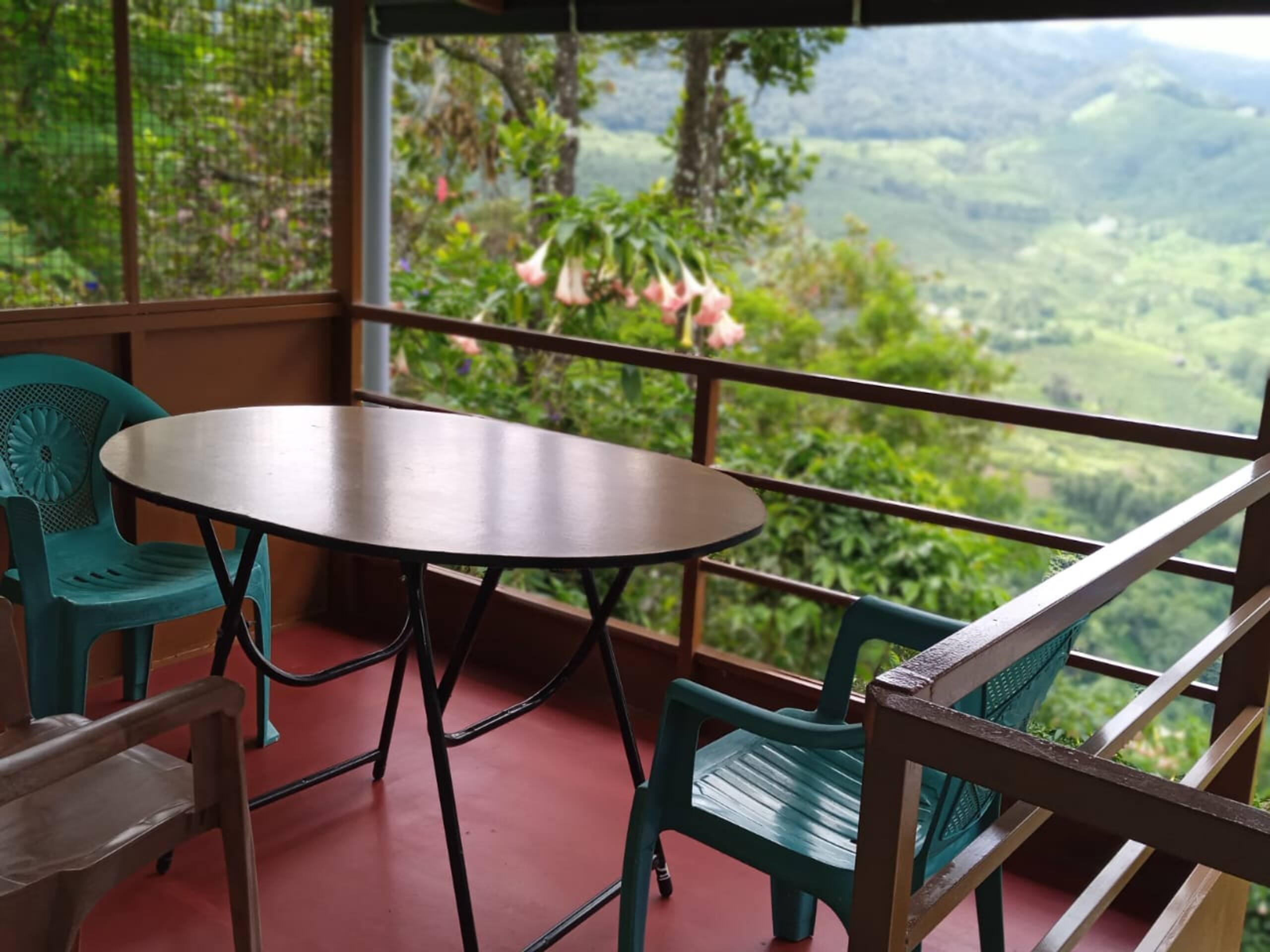 Green Paradise Room-3 2