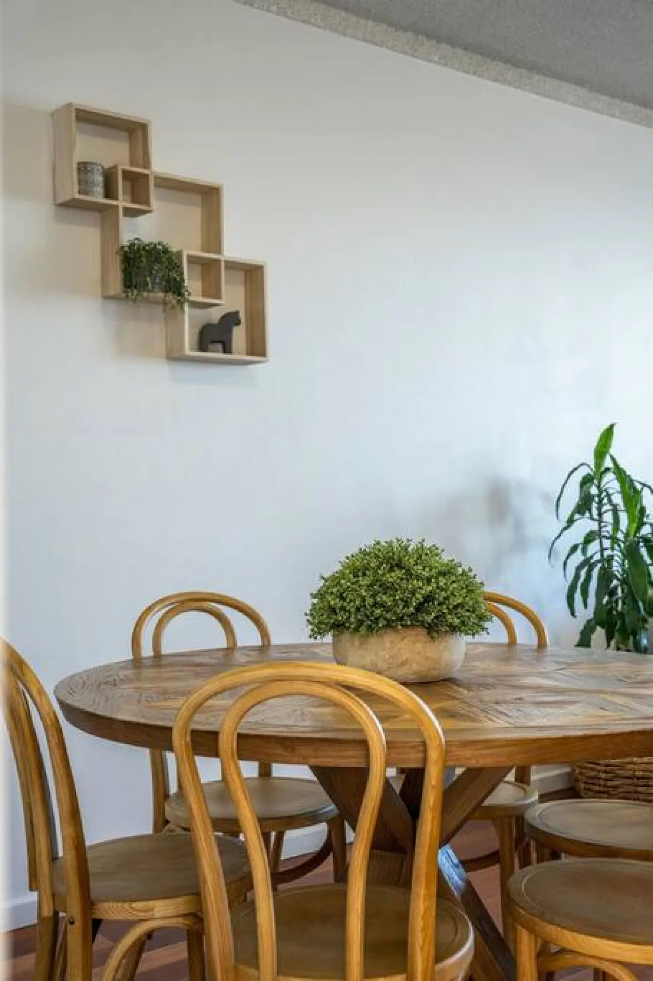 Sea esta! on the Esplanade: A Beachfront Stay 13
