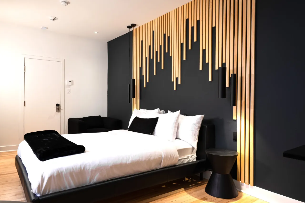 #6 - Studio/Plateau/St-Denis/SelfCheck-In/AC/TV 2