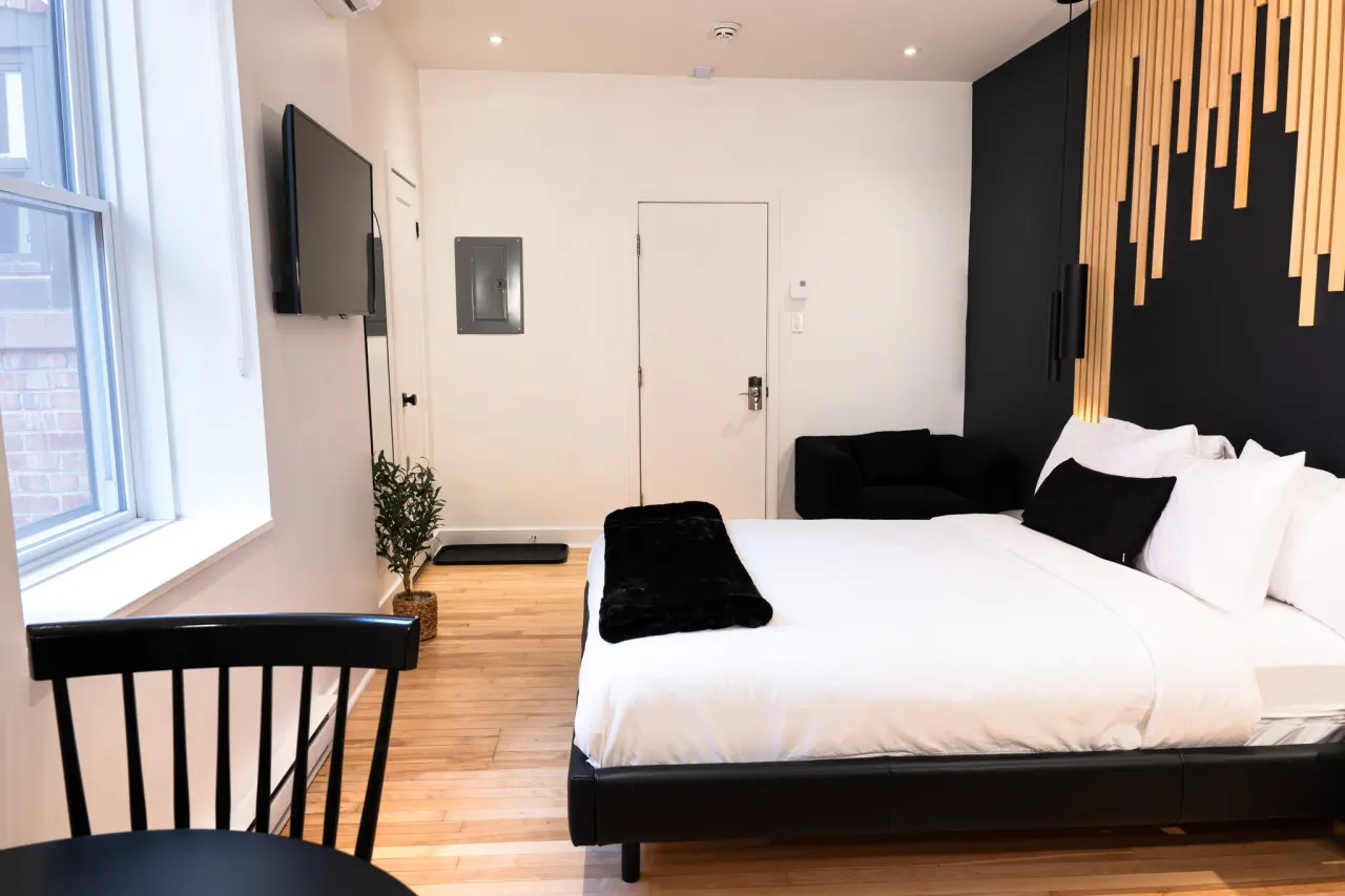 #6 - Studio/Plateau/St-Denis/SelfCheck-In/AC/TV 10