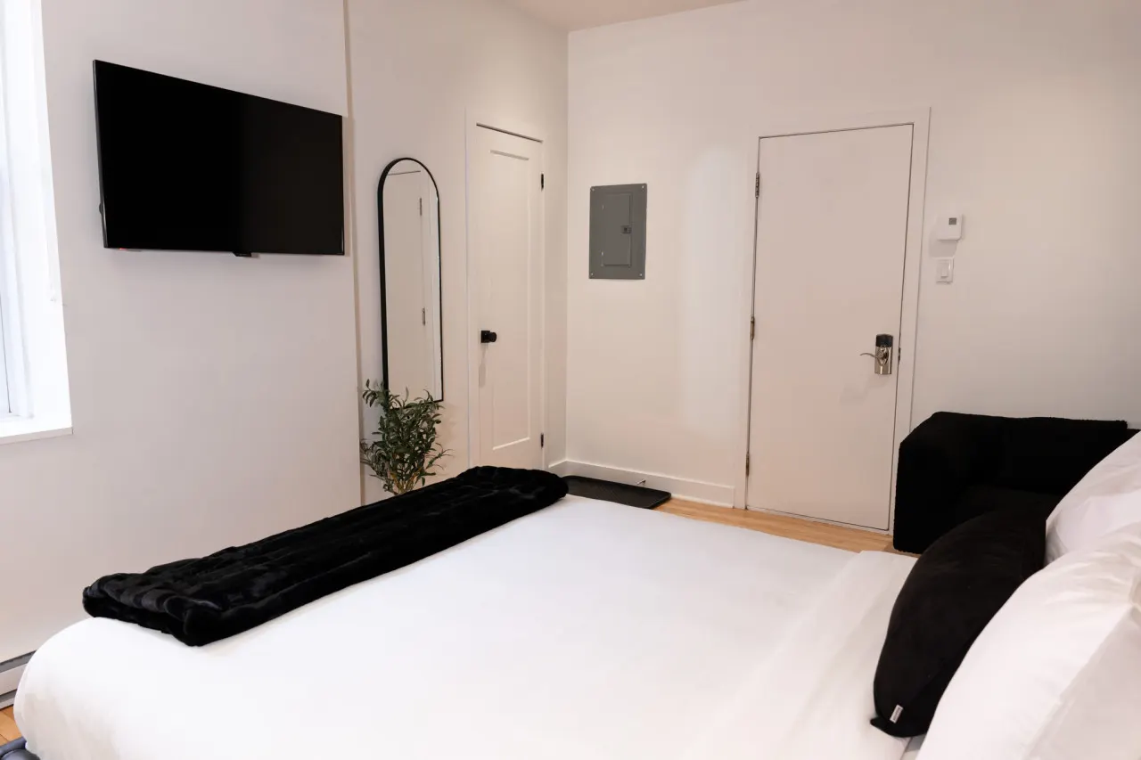 #6 - Studio/Plateau/St-Denis/SelfCheck-In/AC/TV 11