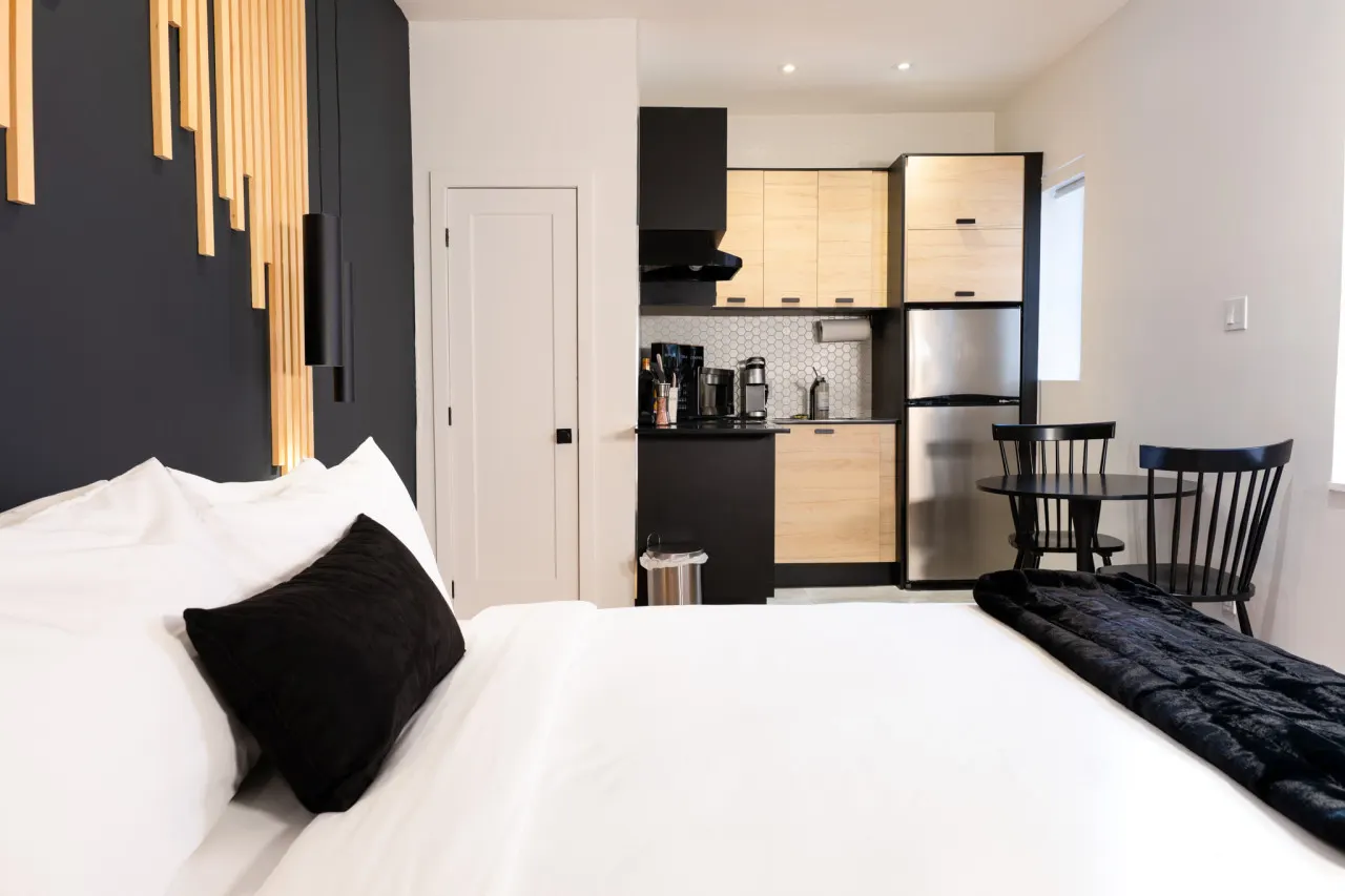 #6 - Studio/Plateau/St-Denis/SelfCheck-In/AC/TV 6