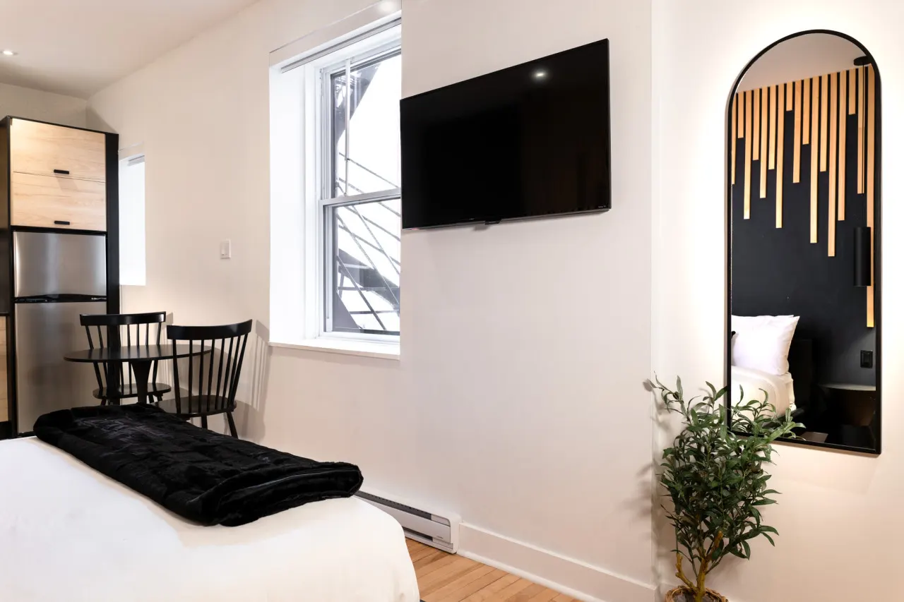 #6 - Studio/Plateau/St-Denis/SelfCheck-In/AC/TV 7