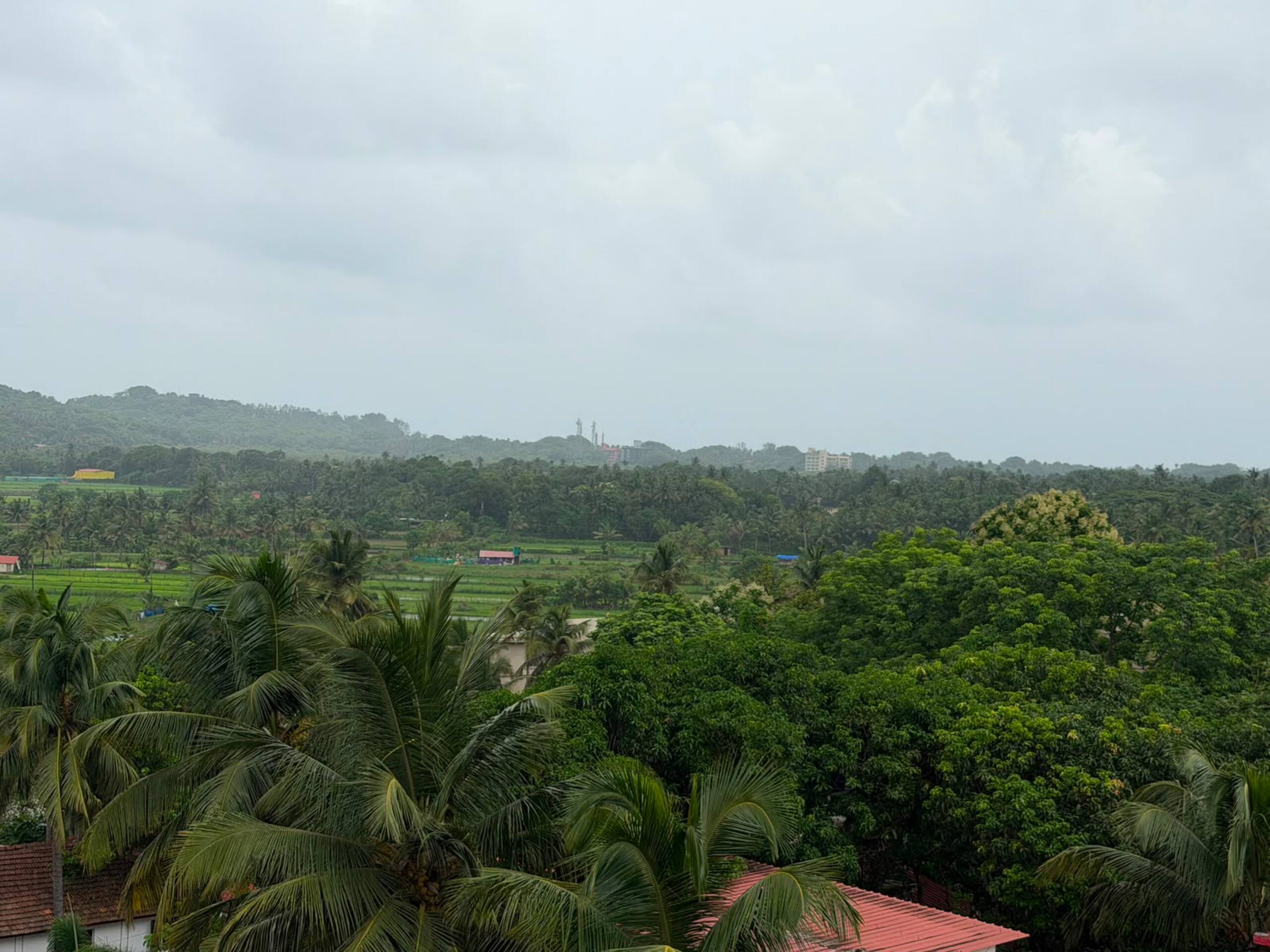 Nerul Studio ·Rooftop Pool & Balcony · Coco Beach 39