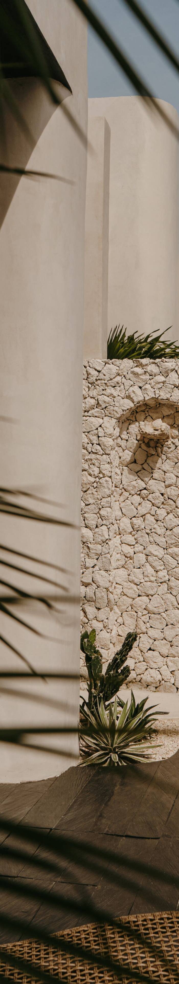 Kaia — photo 2