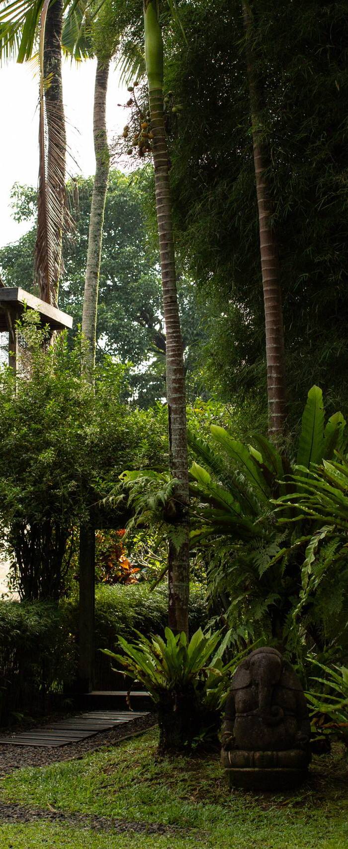 Rumah Senja — photo 5