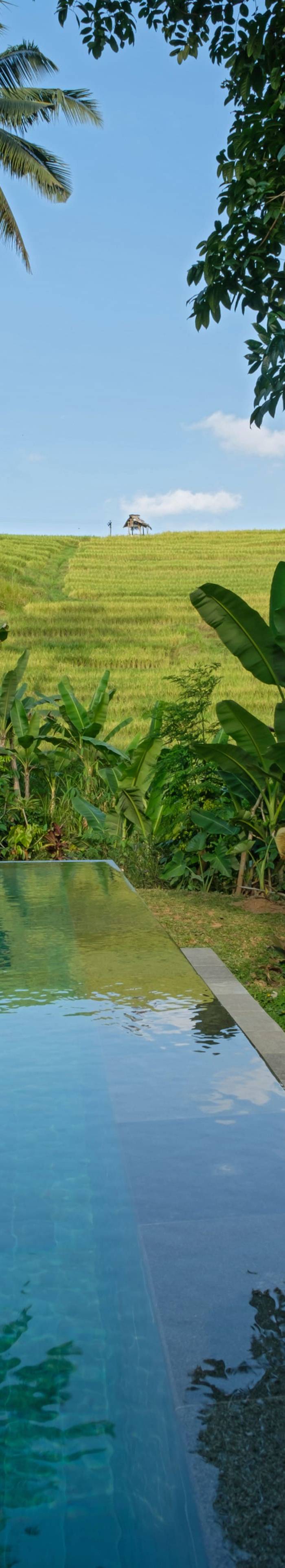 Bebalilodge — photo 2