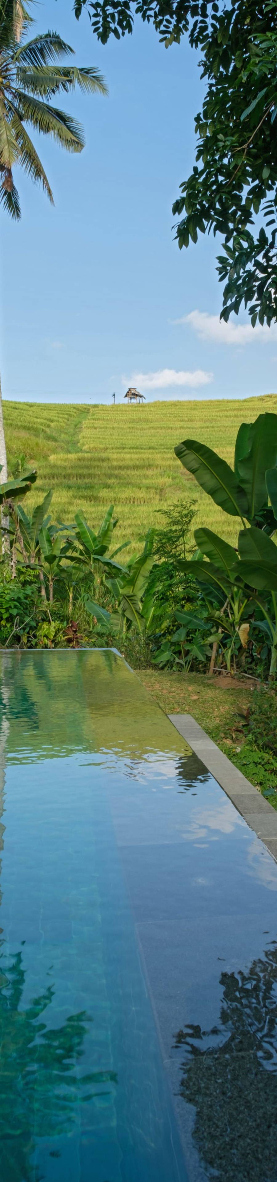 Bebalilodge — photo 2