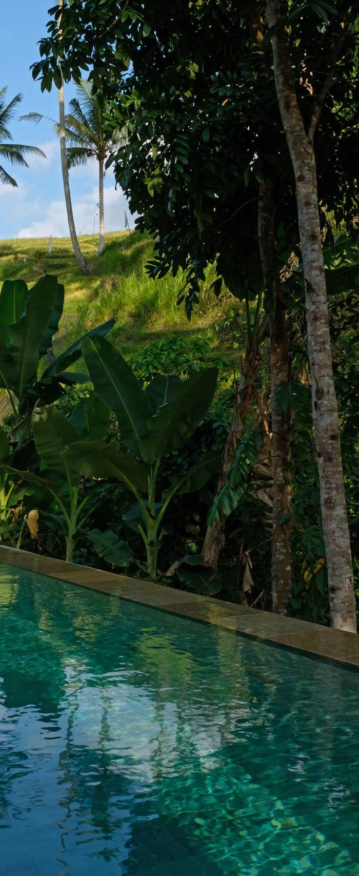 Bebalilodge — photo 3