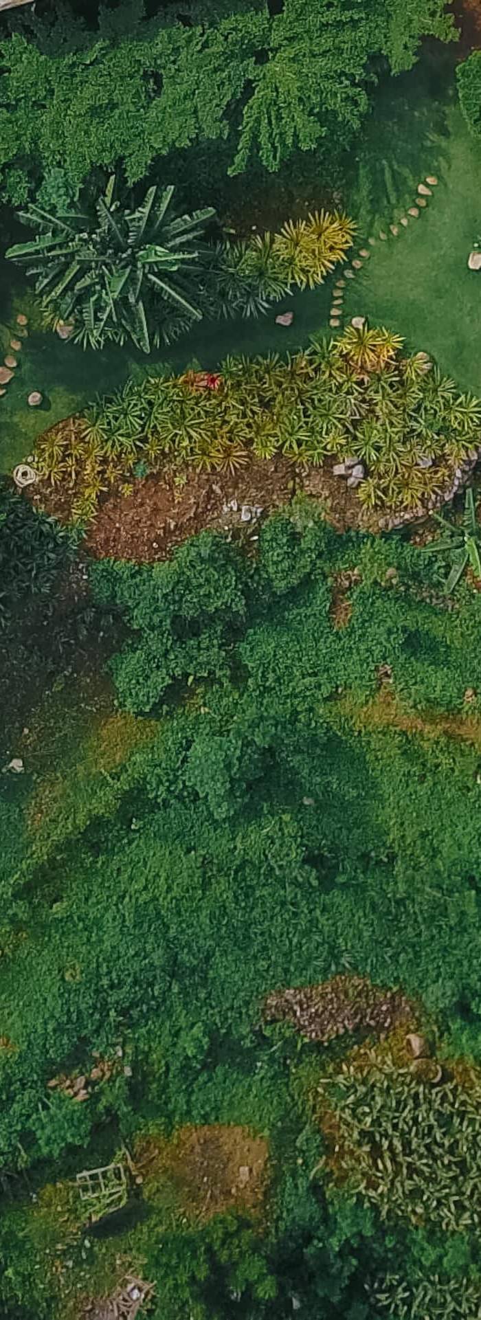 Villa Baja Barat — photo 2
