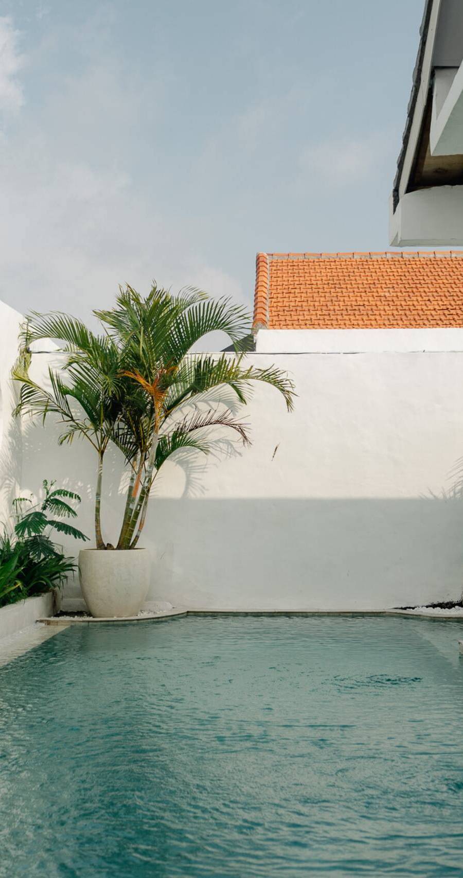 Tropical Hideaway• 5 Min to Canggu & the Beach — photo 2