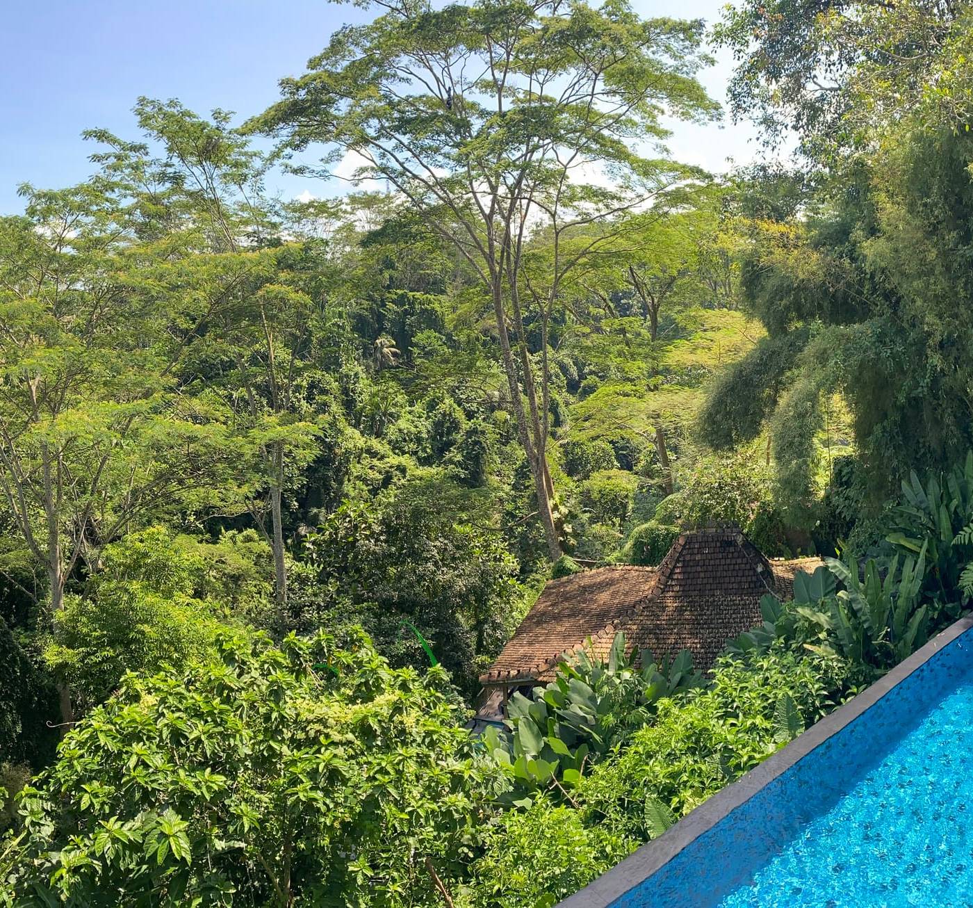 The Manipura Luxury Estate & Spa — photo 1