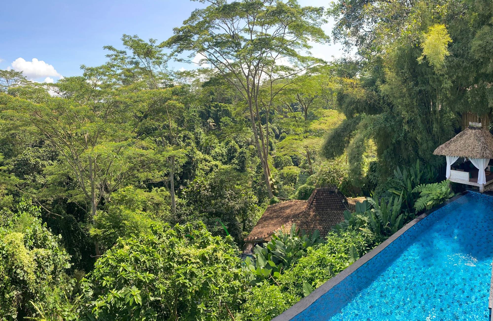 The Manipura Luxury Estate & Spa — photo 1