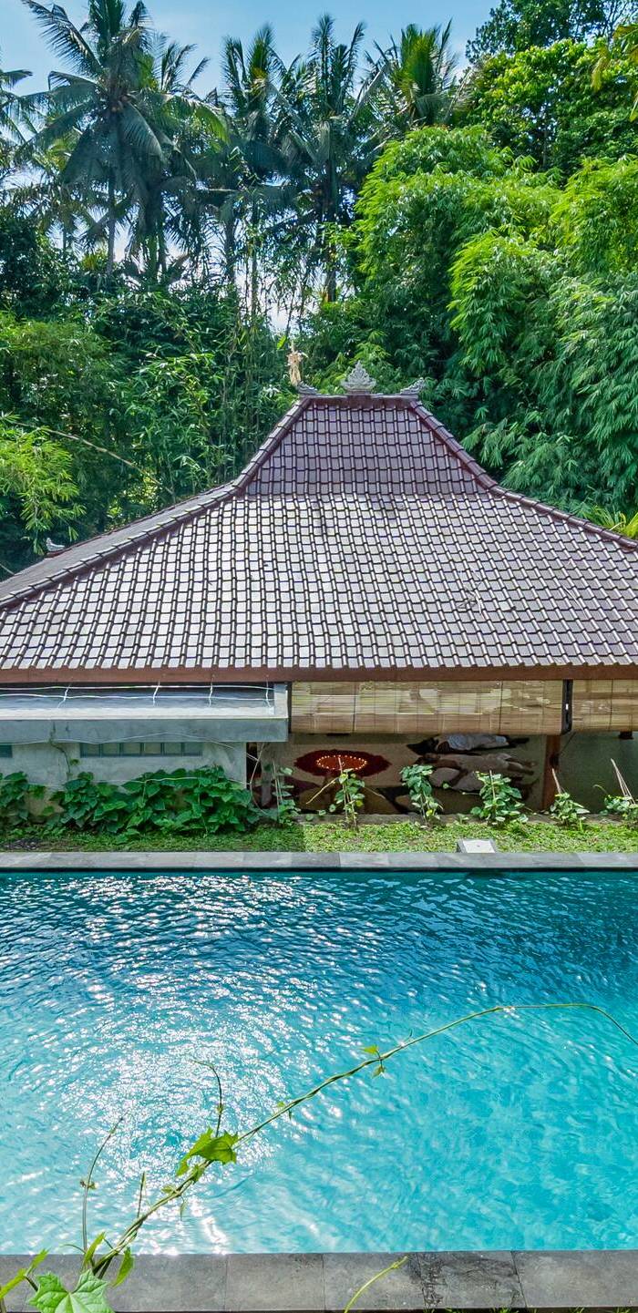 As I Am Ubud Retreat — photo 3
