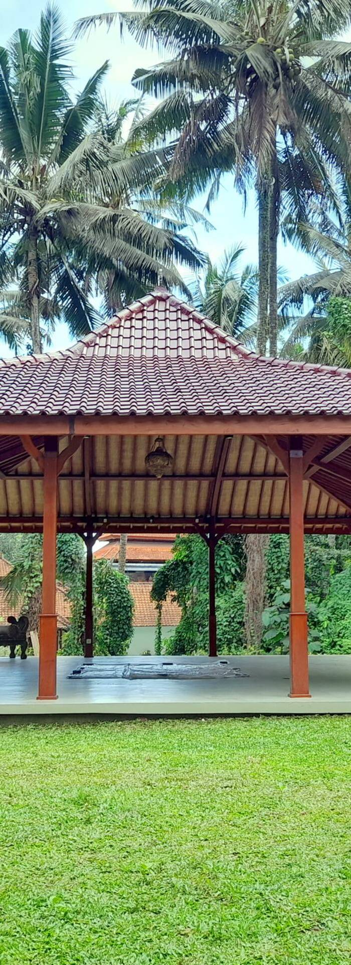 As I Am Ubud Retreat — photo 5