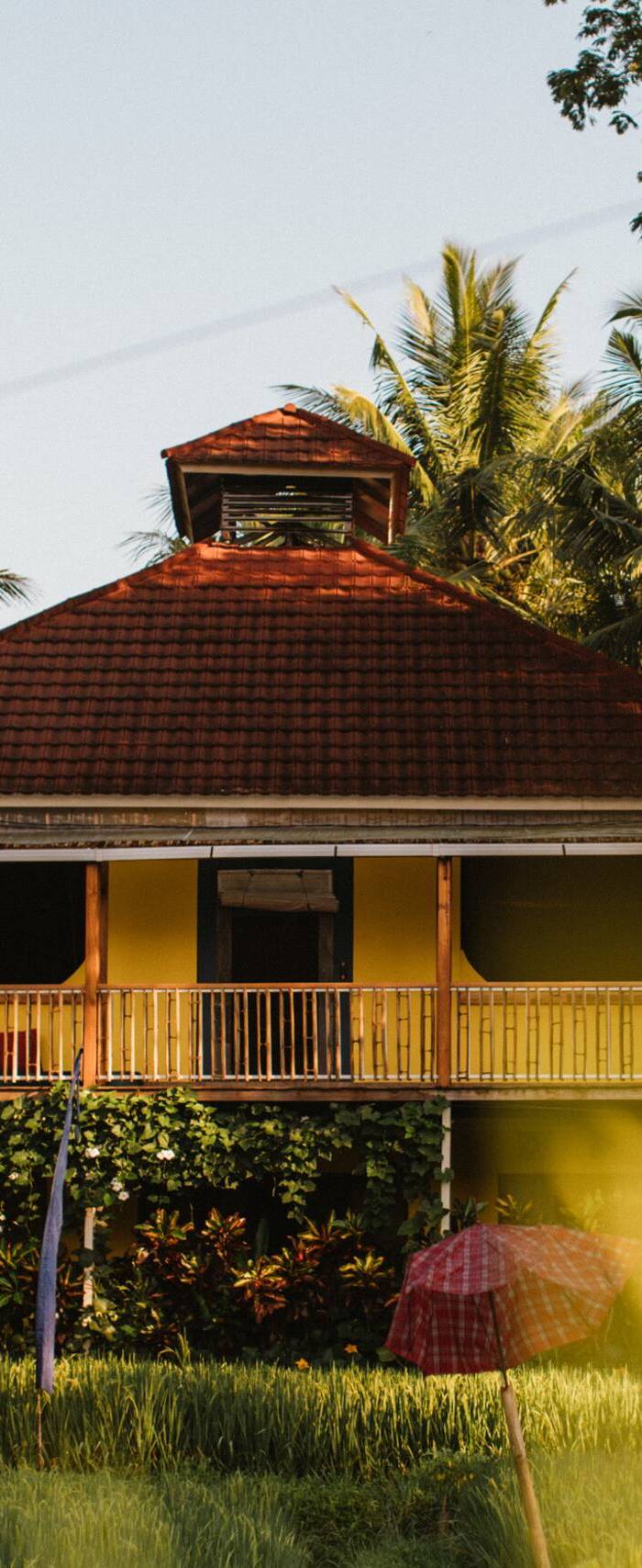 Samyama Self-Healing Centre — photo 3