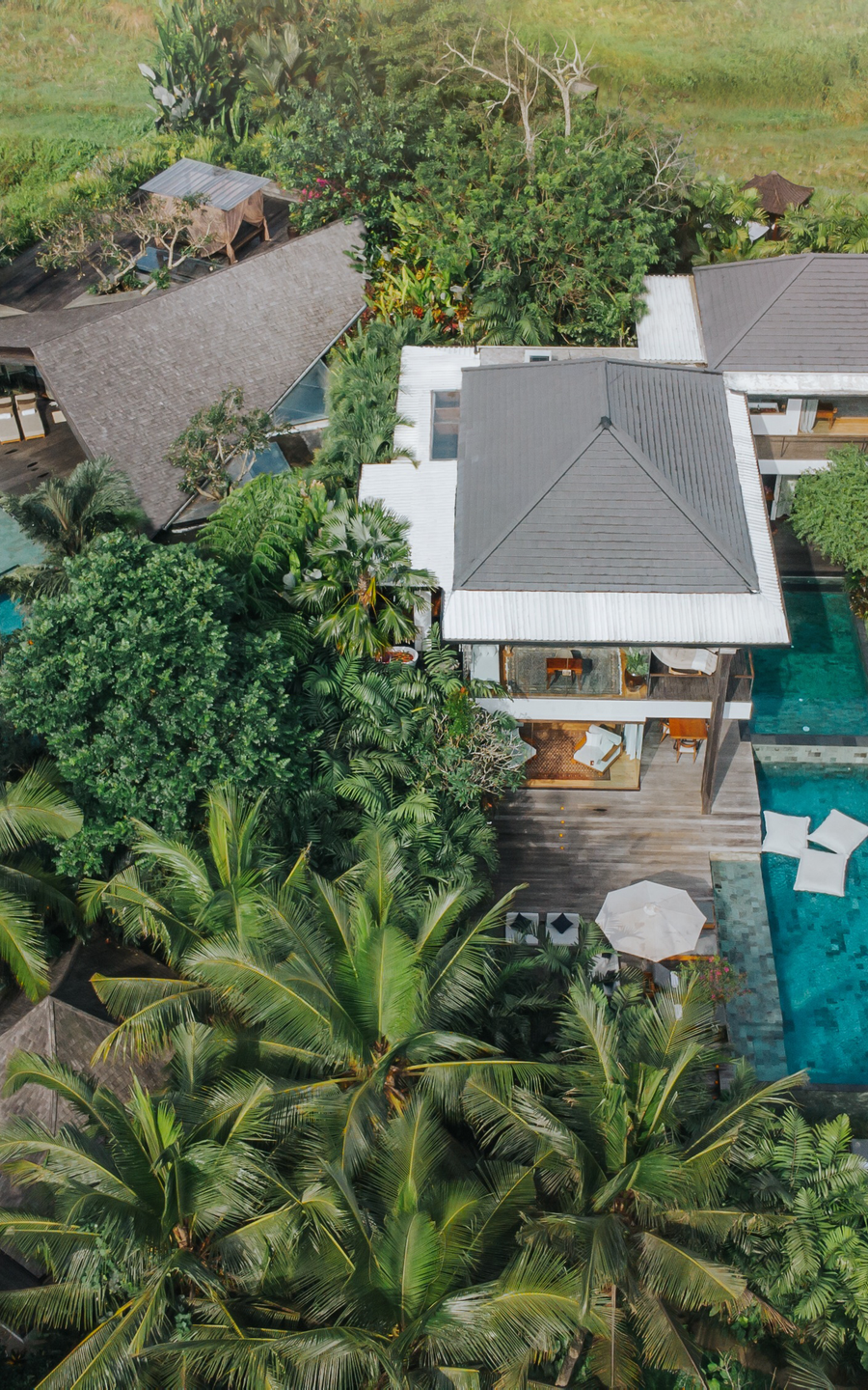 Dwa Chandra Villas & Retreats — photo 2