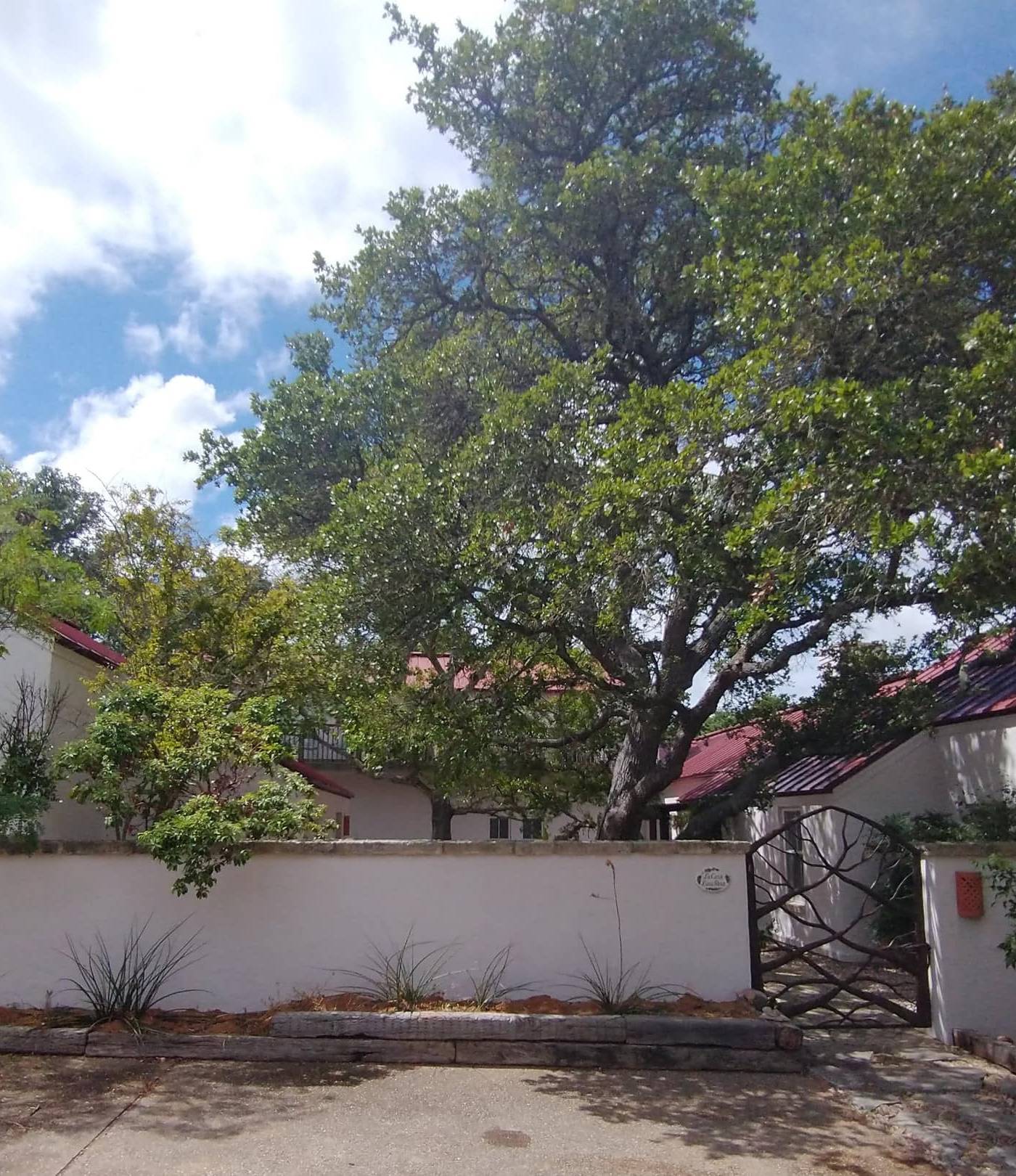 Casa Luna Rosa — photo 1