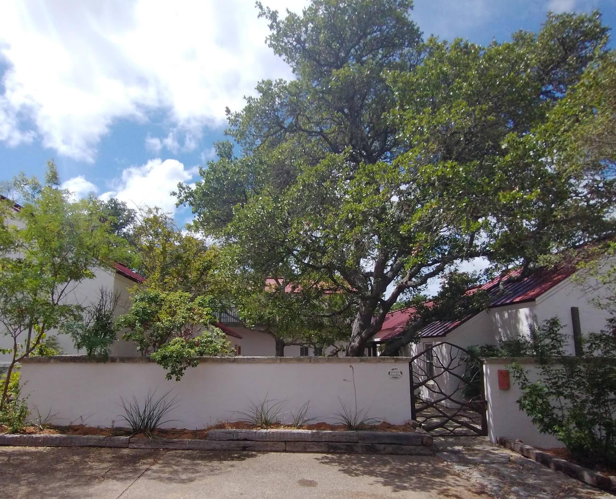Casa Luna Rosa — photo 1