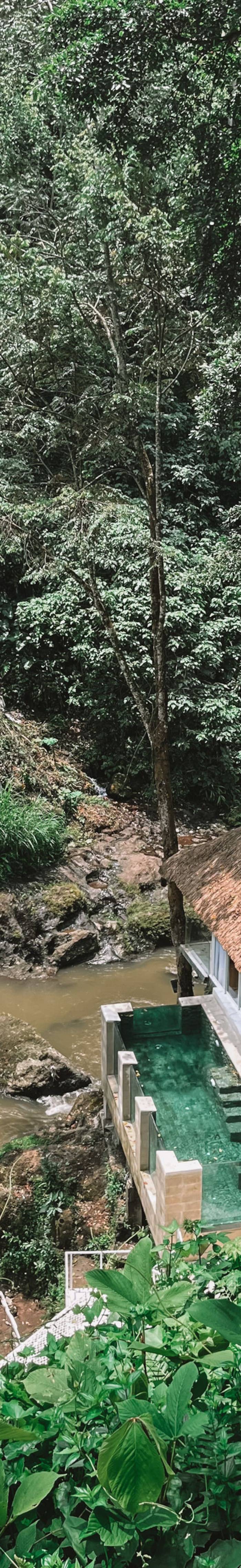 Hideout Jungle/River Villa @ VillaCellaBella — photo 5