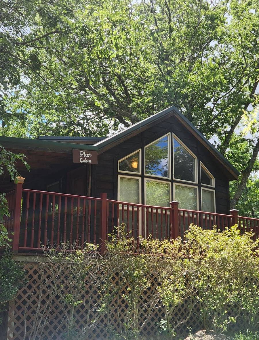 Mendelbaum Winery Cabins — photo 2