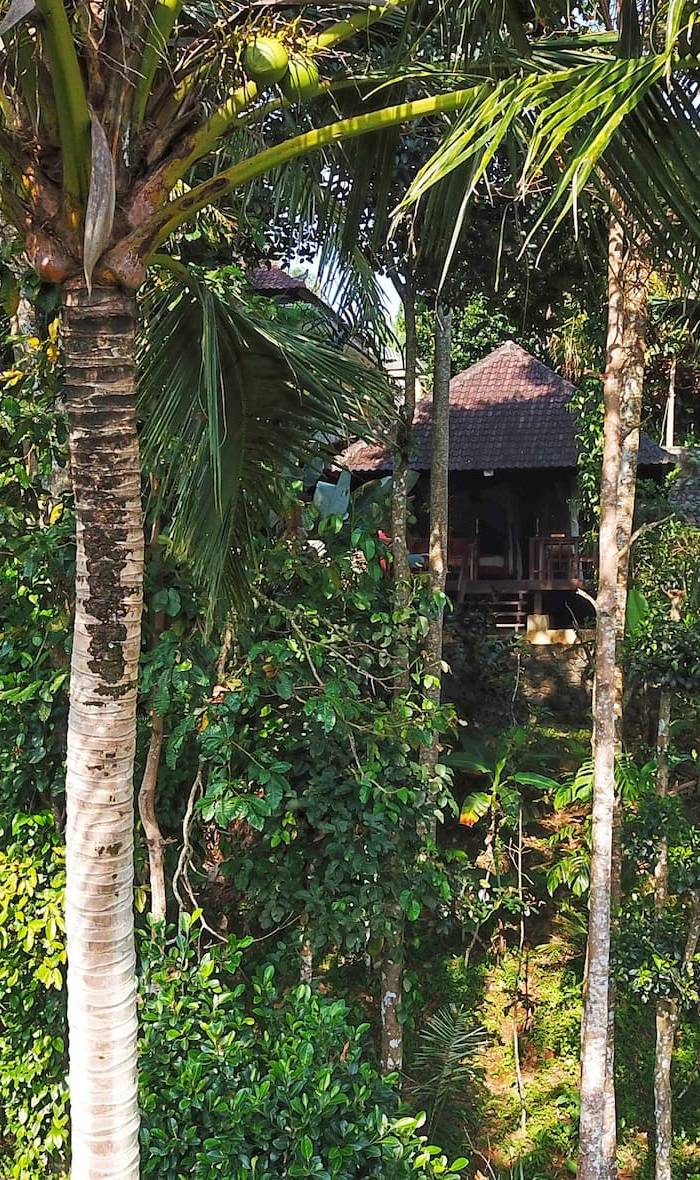 Secluded Jungle Villa #21c 2bi5nw6 — photo 5