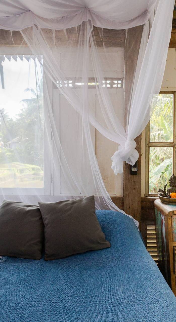 Trinity Gardens Wild Beautiful
Jungle Villa — photo 2