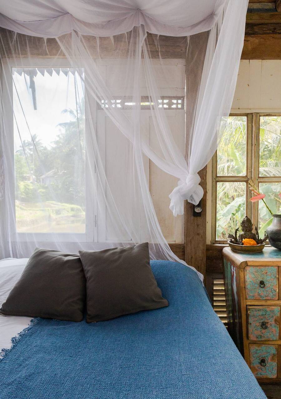 Trinity Gardens Wild Beautiful
Jungle Villa — photo 2
