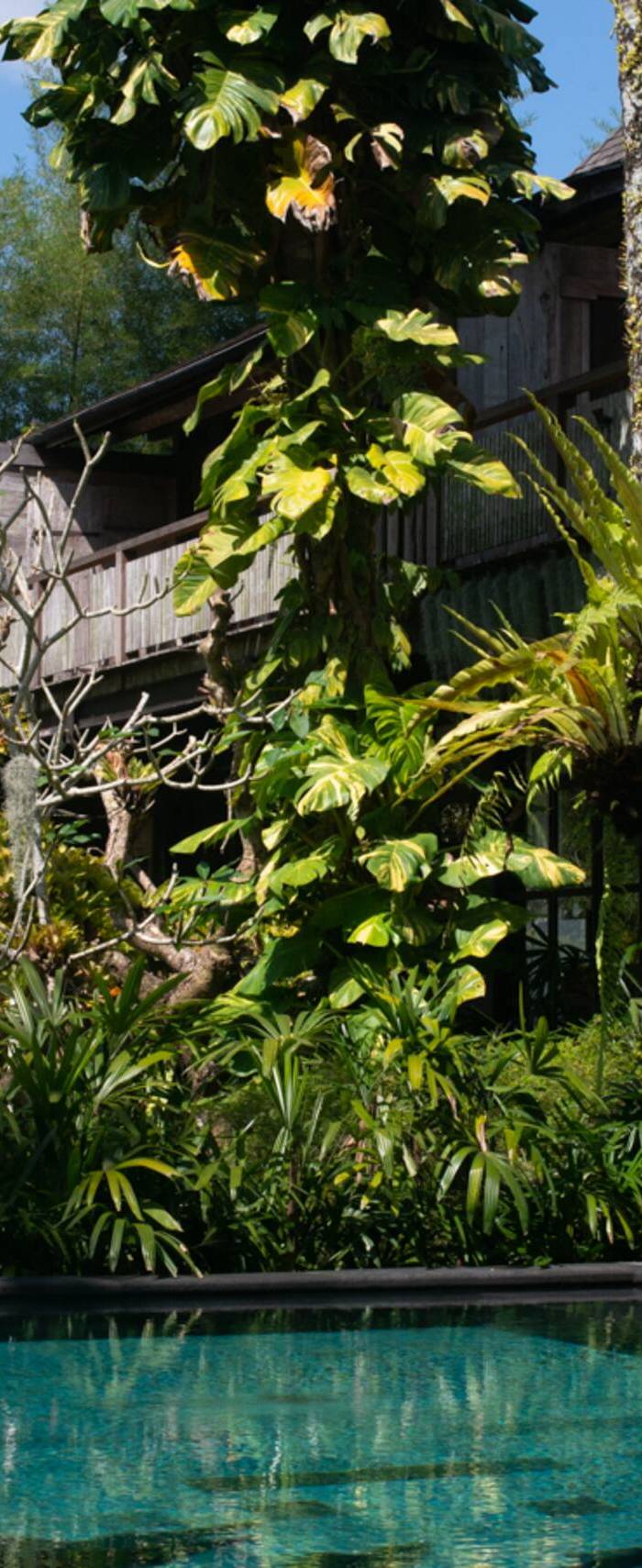 Rumah Senja - Spacious 3 Bedroom Villa — photo 4