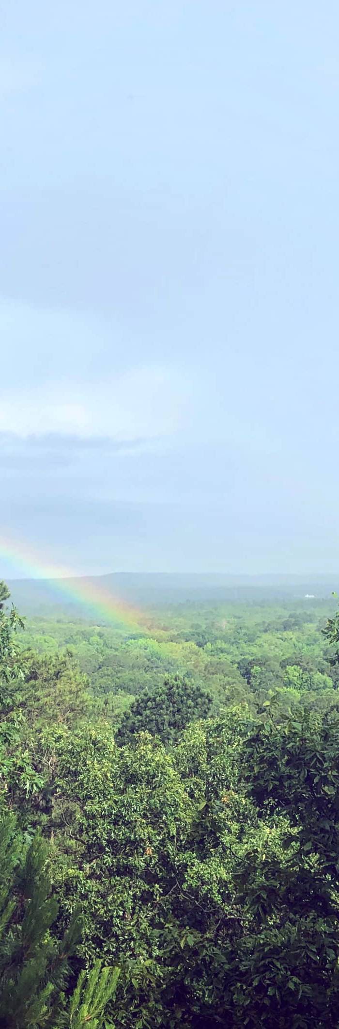 Epic Views Waterfall Cabin — photo 3